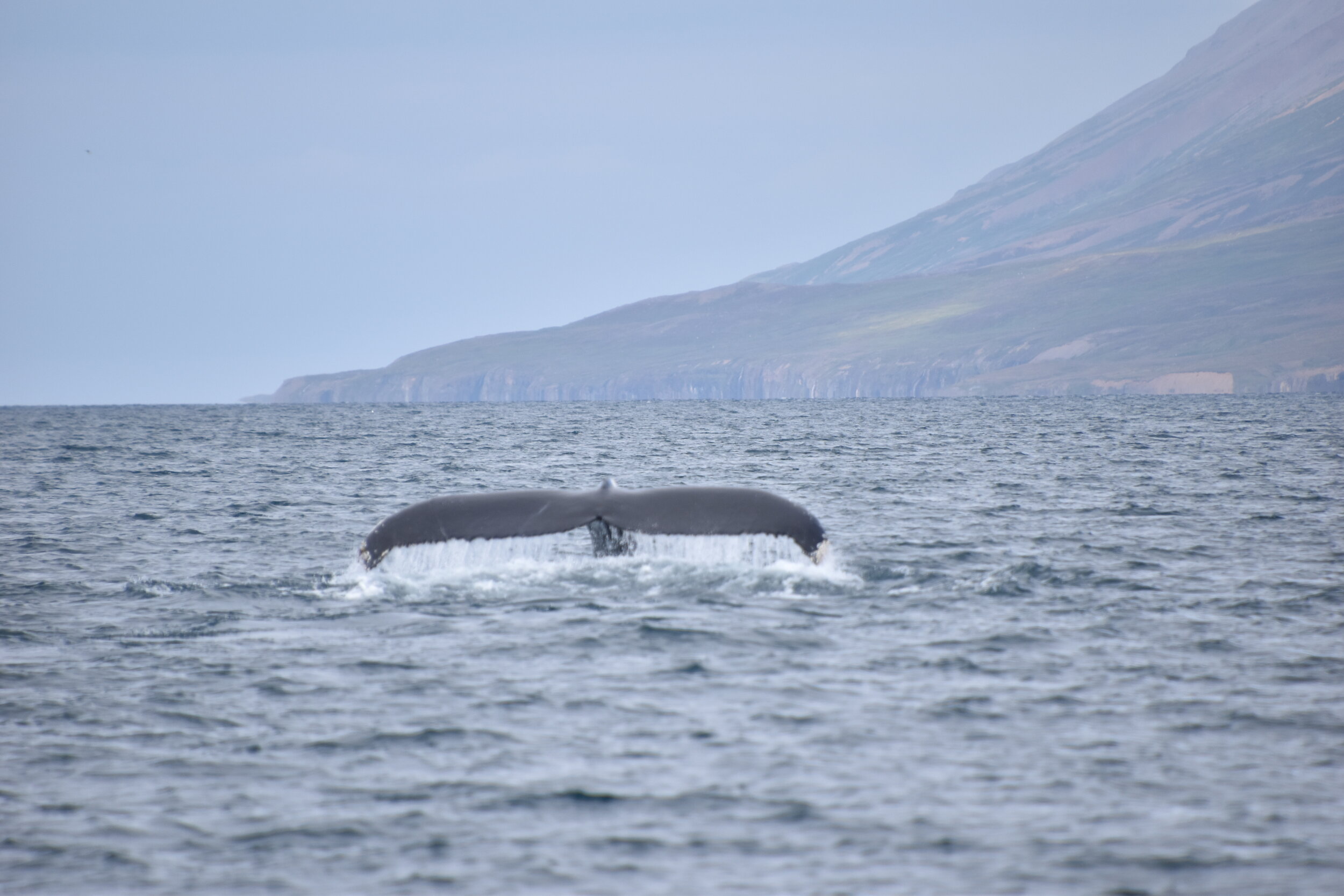 Wednesday, 26 August 2020