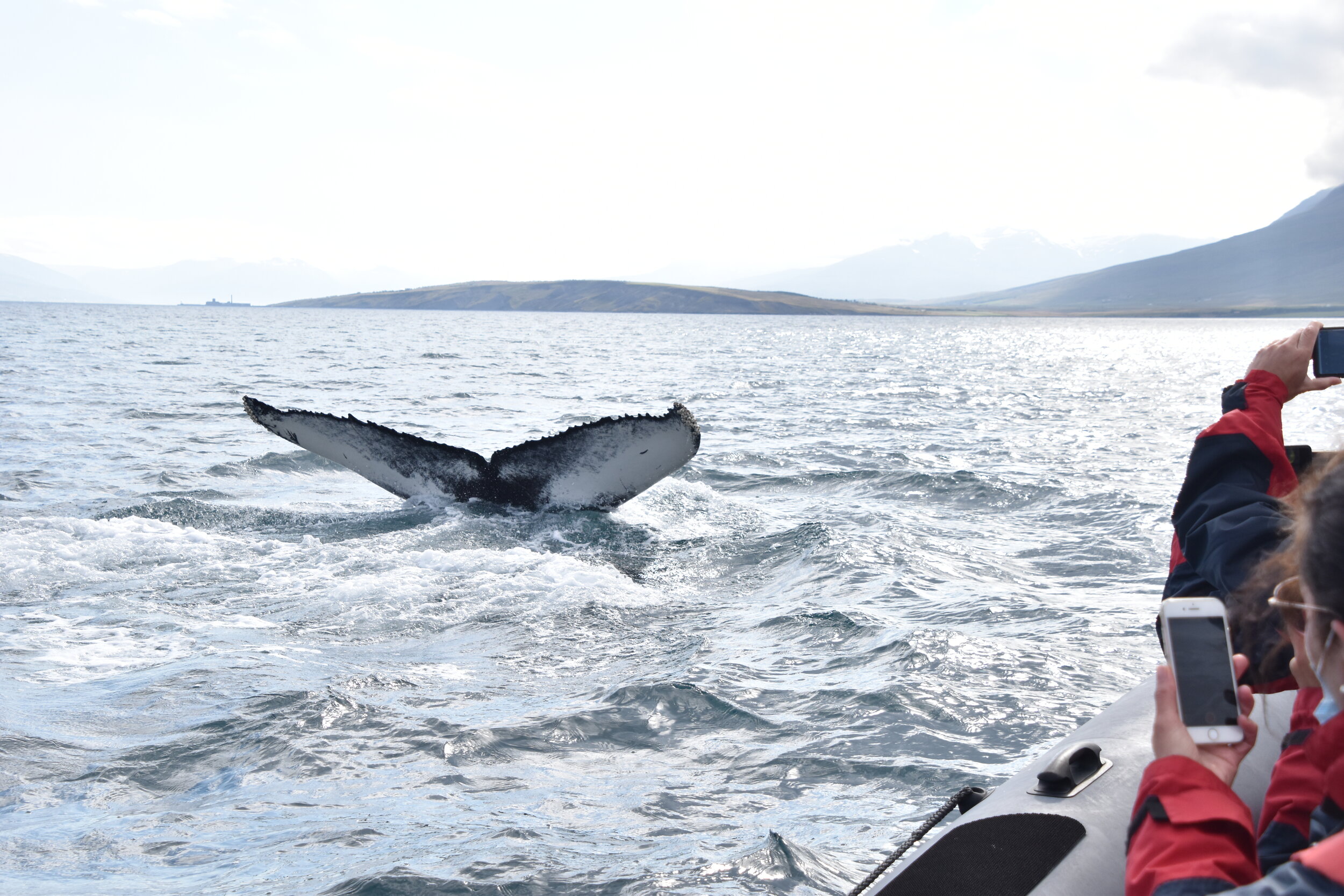 Wednesday, 26 August 2020