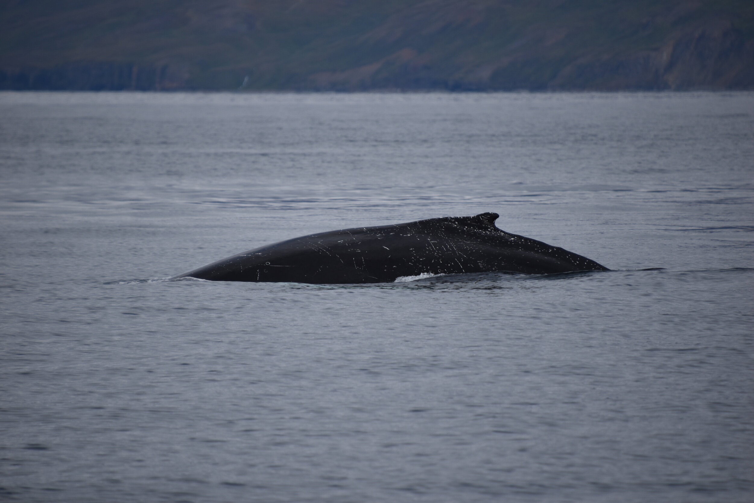 Thursday, 27 August 2020