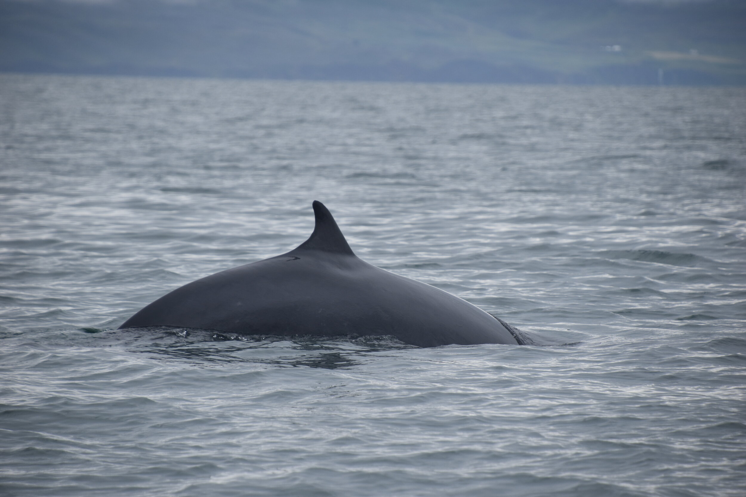 Monday, 13 July 2020