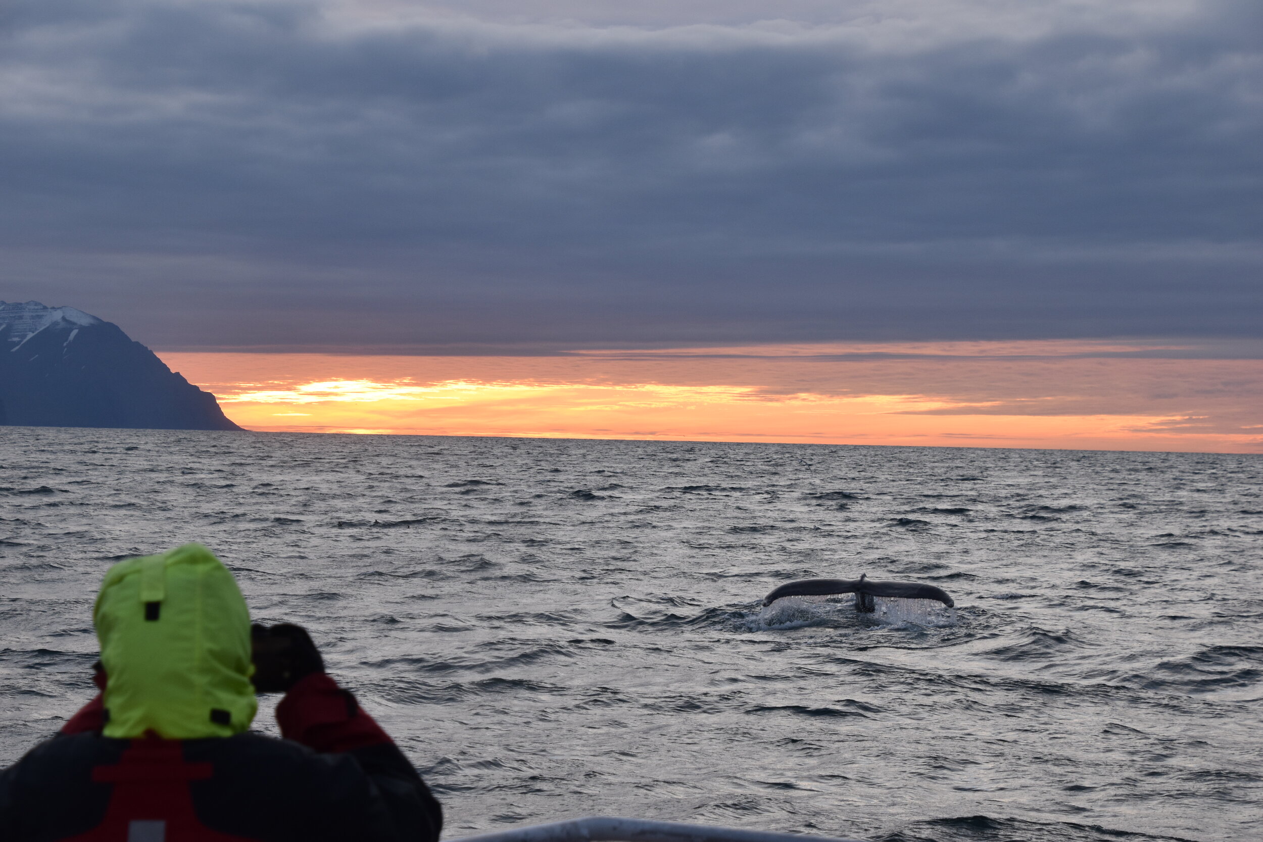 Monday, 20 July 2020