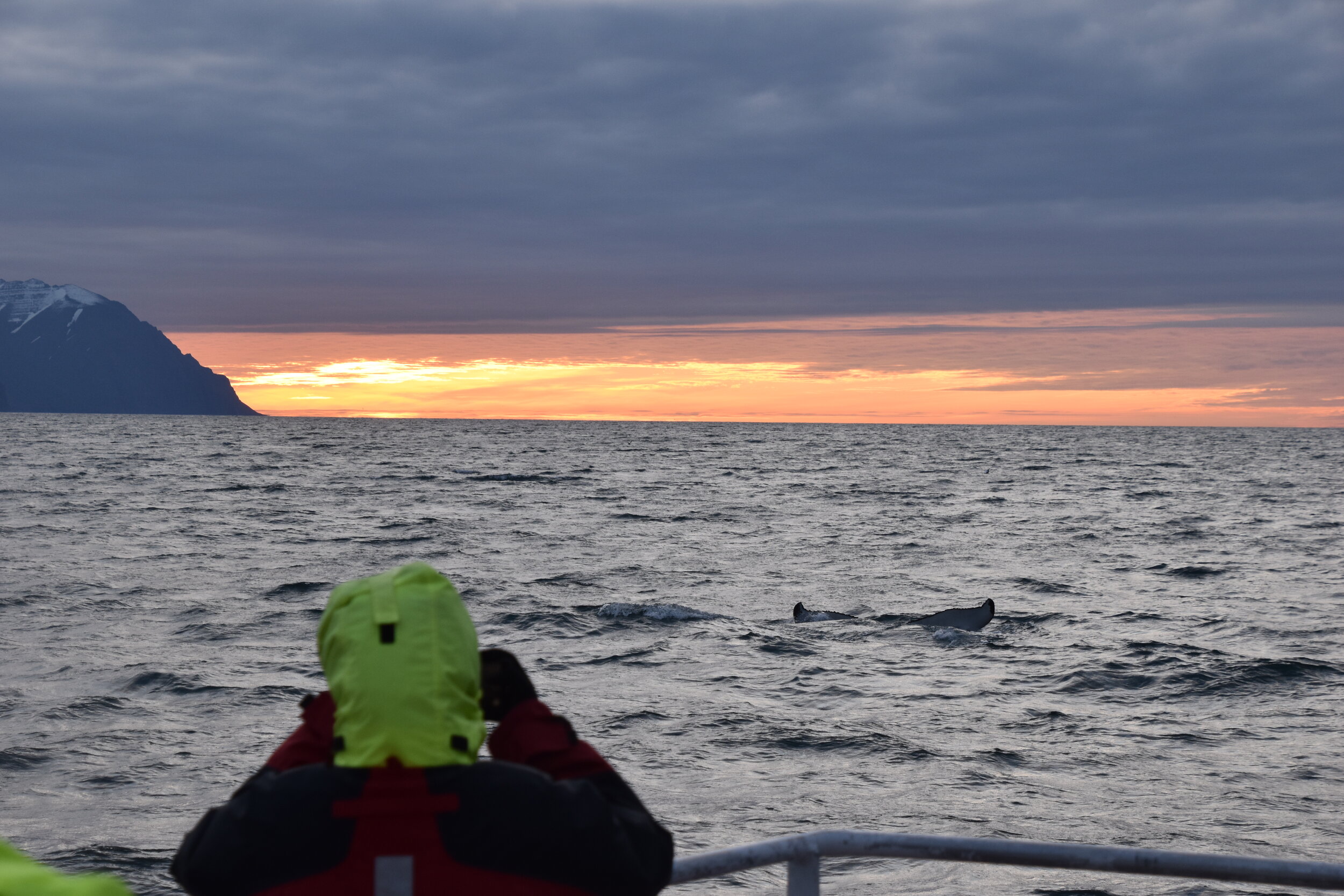 Monday, 20 July 2020