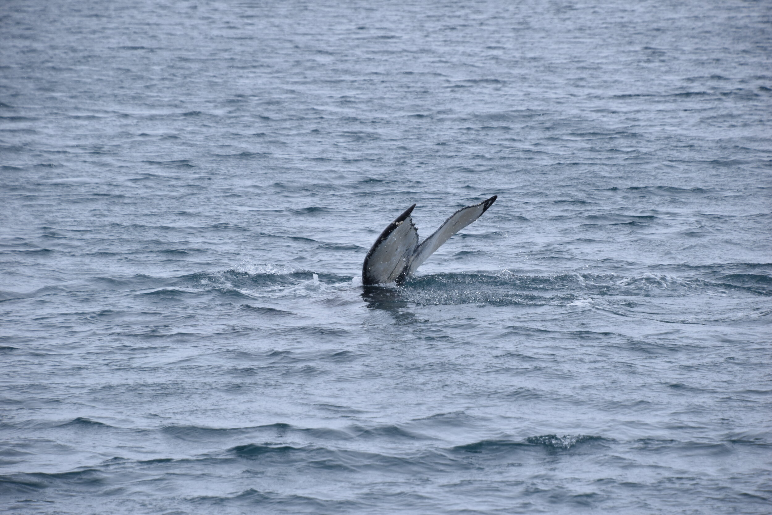 Friday, 28 February 2020