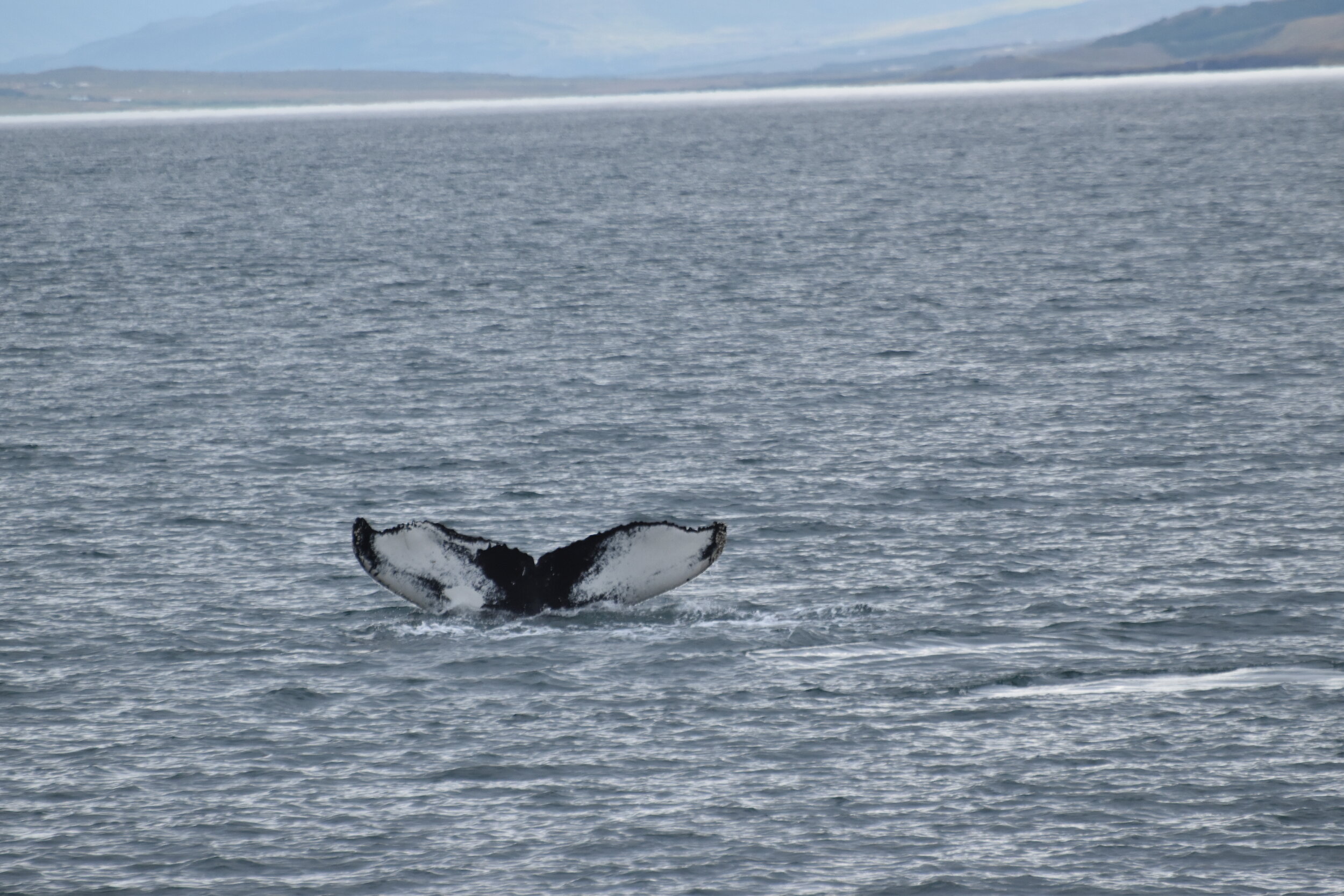 Friday, 3 September 2021