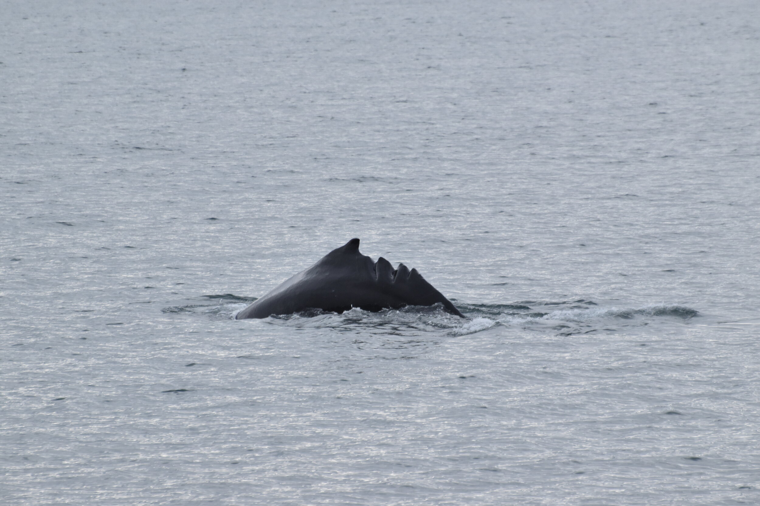 Friday, 3 September 2021