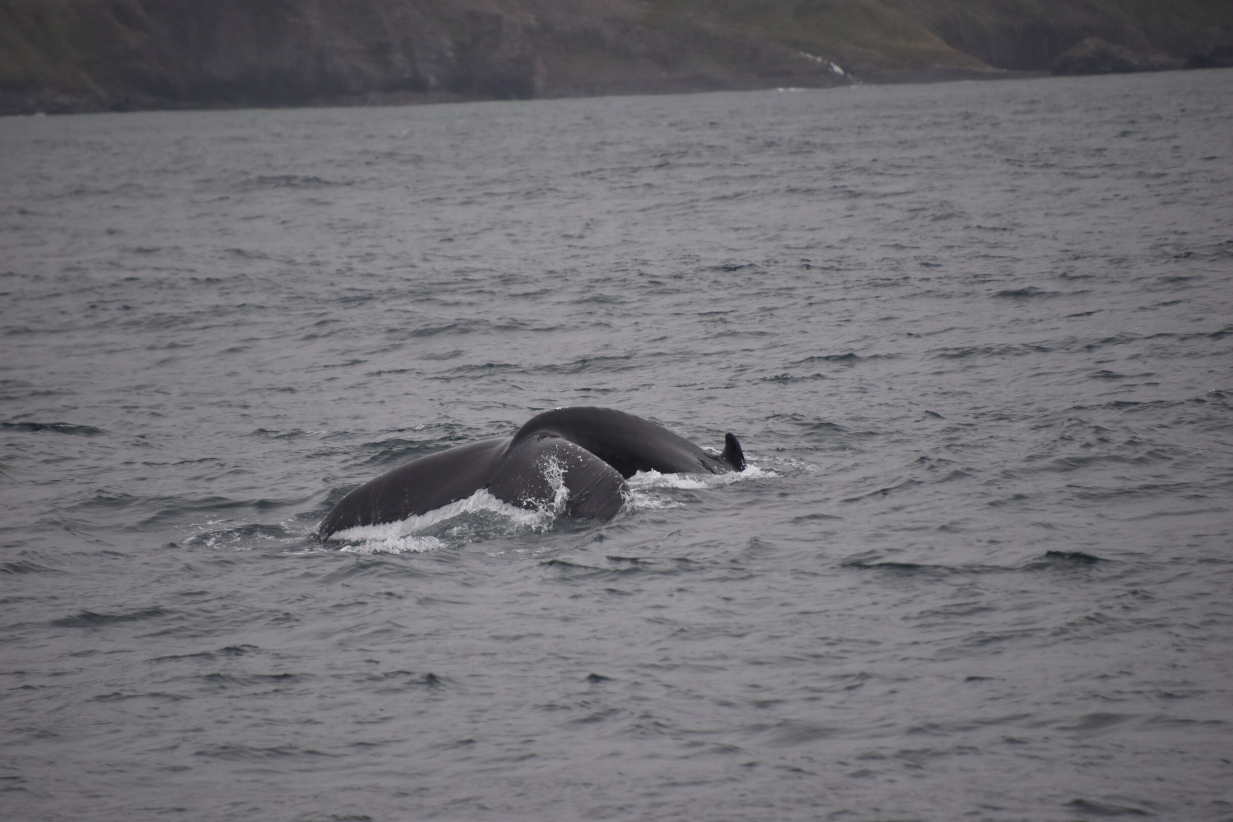 Monday, 6 September 2021