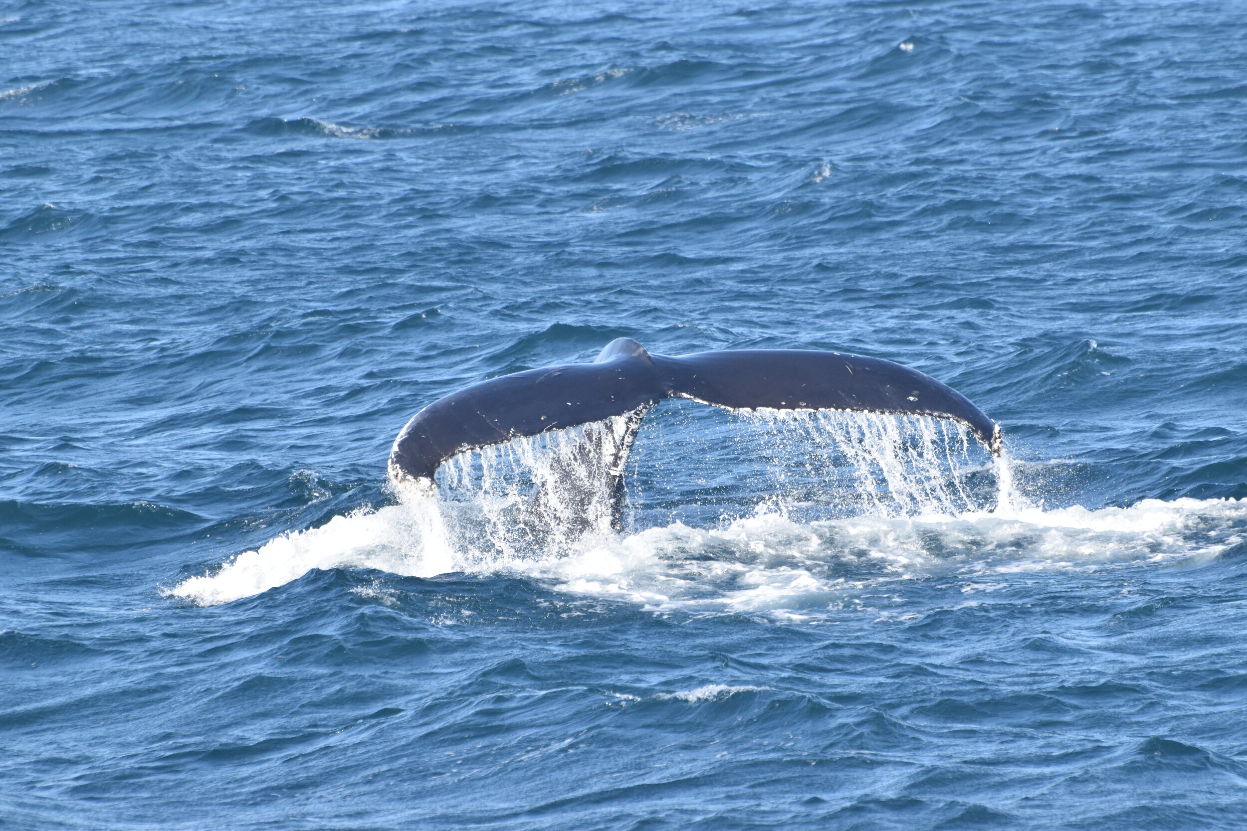 Wednesday, 15 September 2021