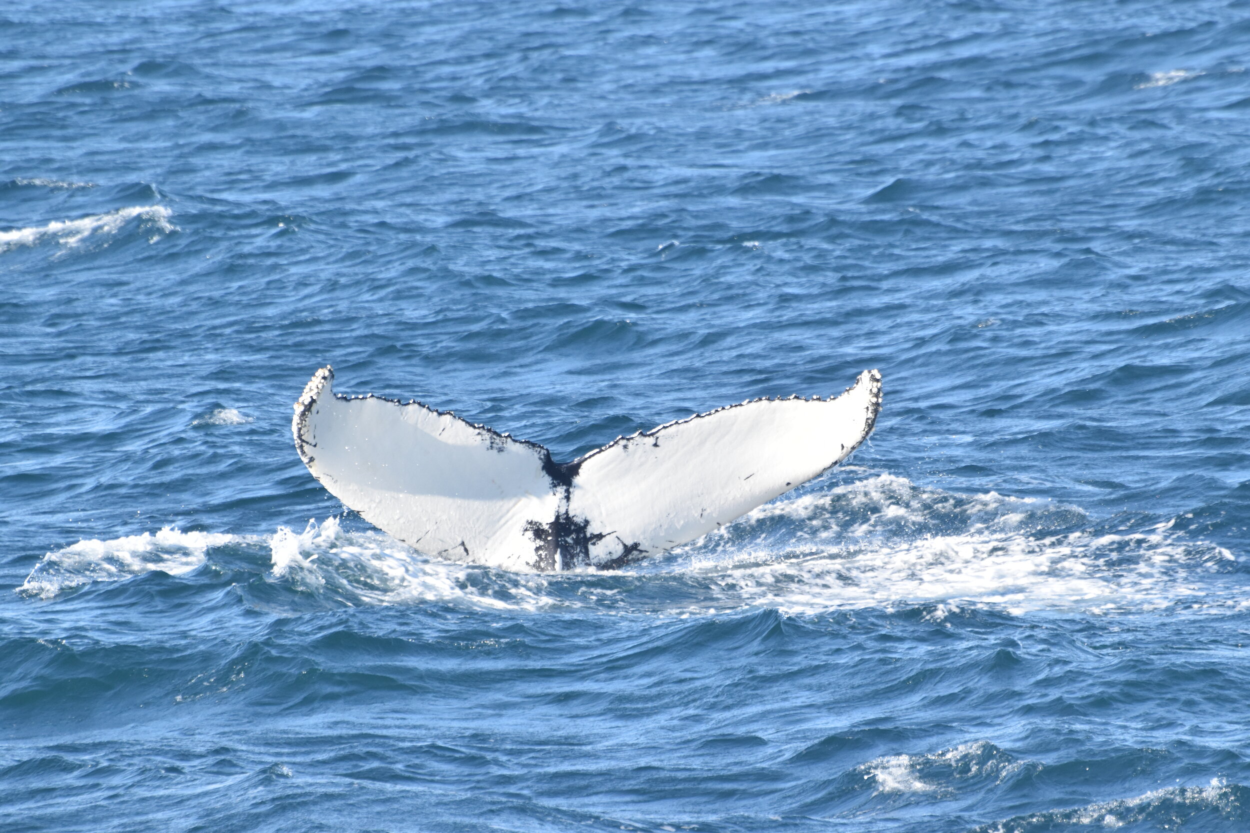 Wednesday, 15 September 2021