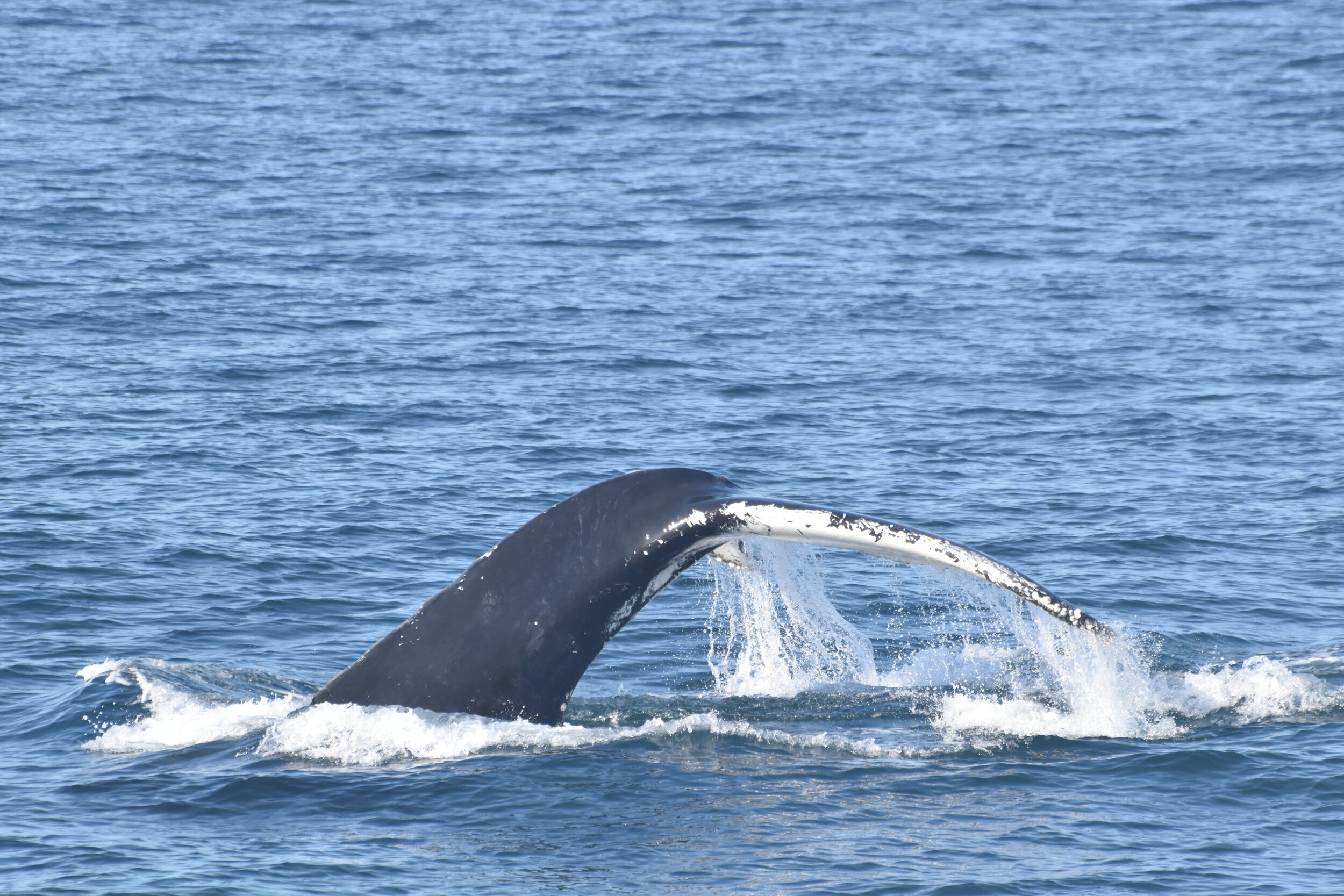 Wednesday, 15 September 2021