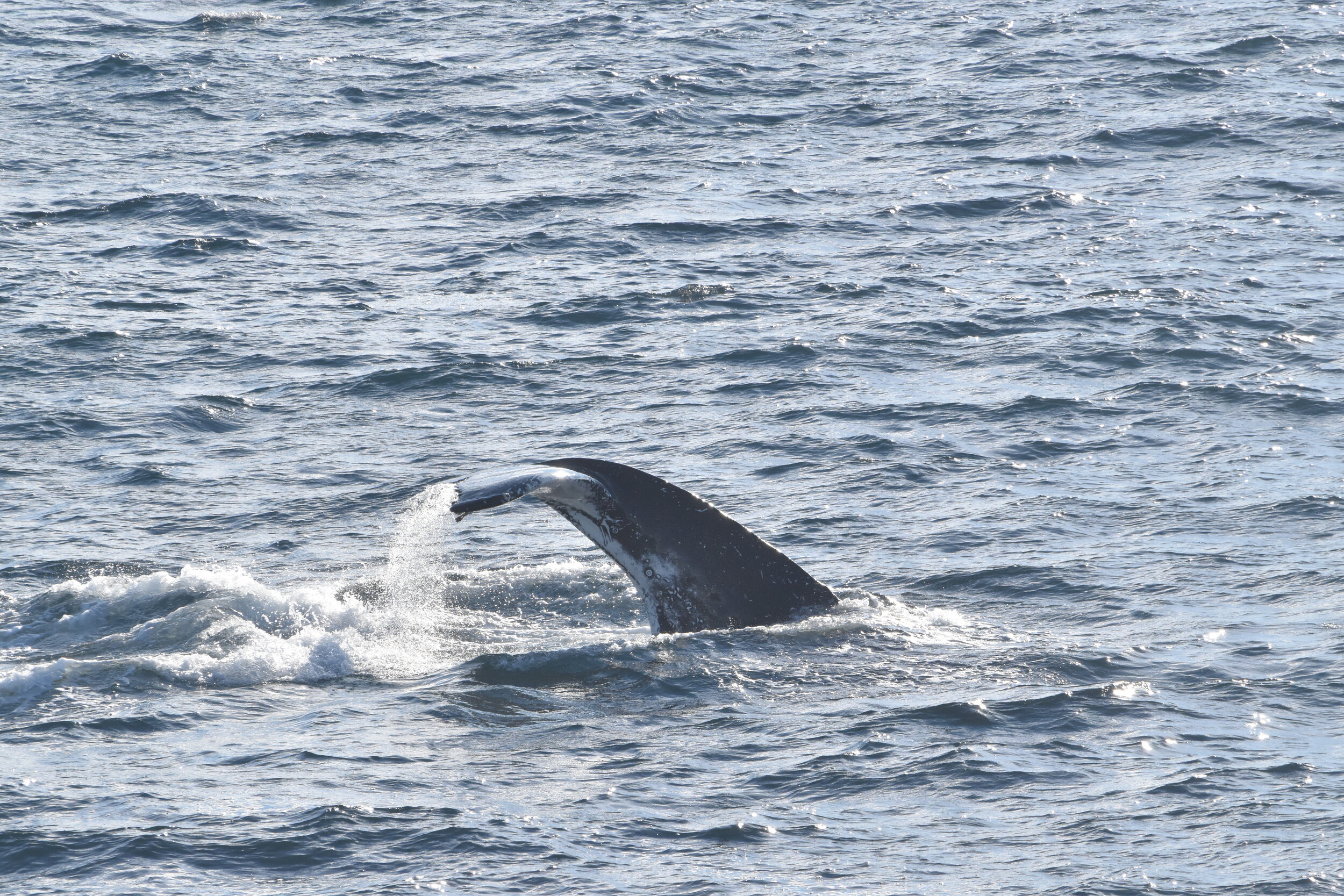 Wednesday, 22 September 2021
