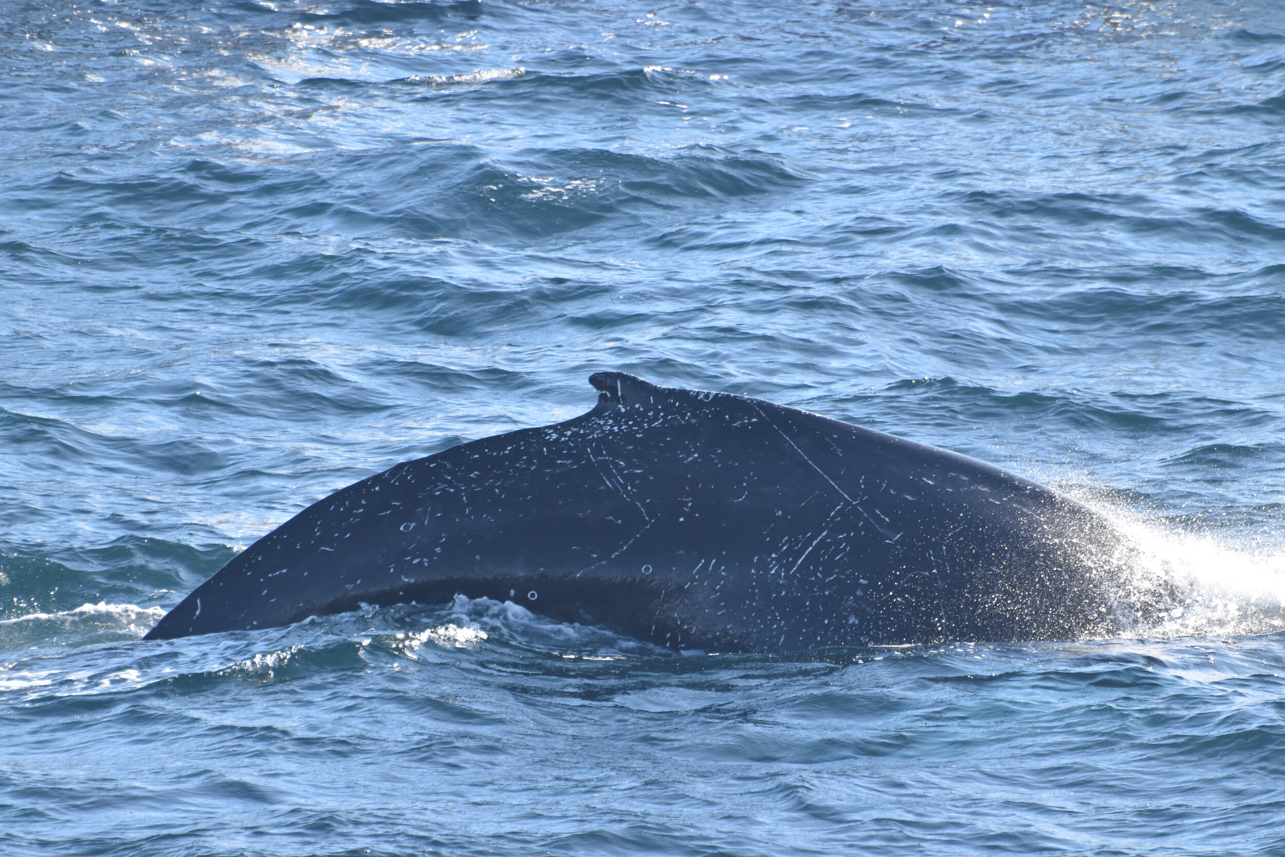 Wednesday, 22 September 2021