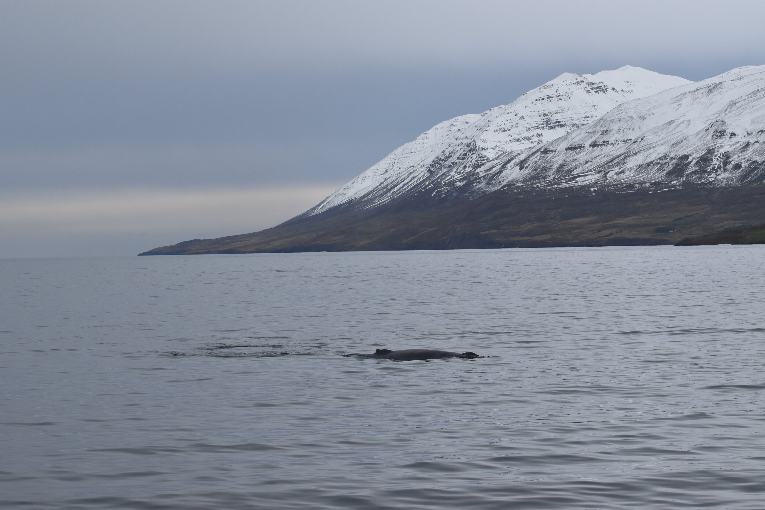 Thursday, 23 September 2021