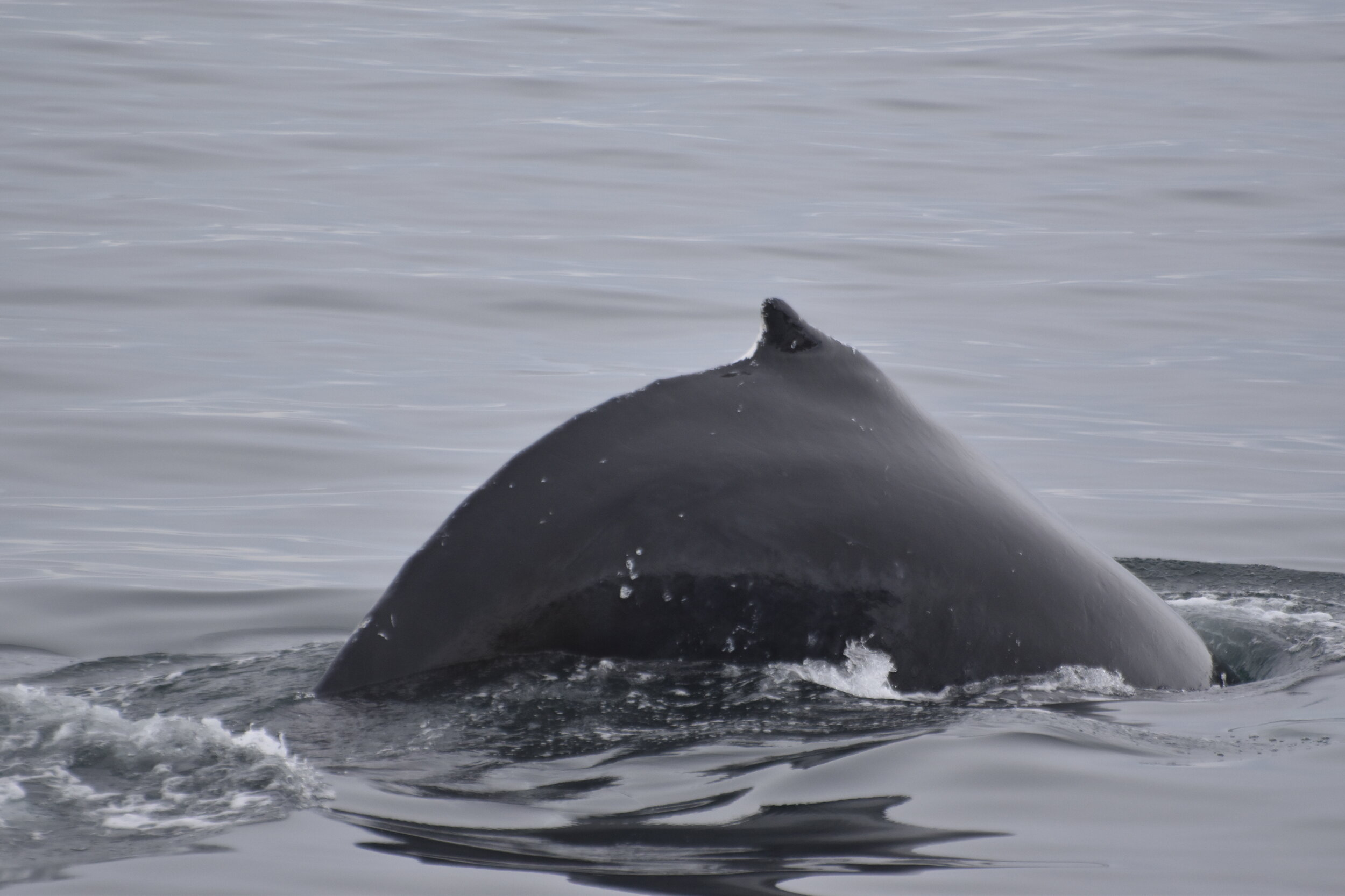 Thursday, 23 September 2021