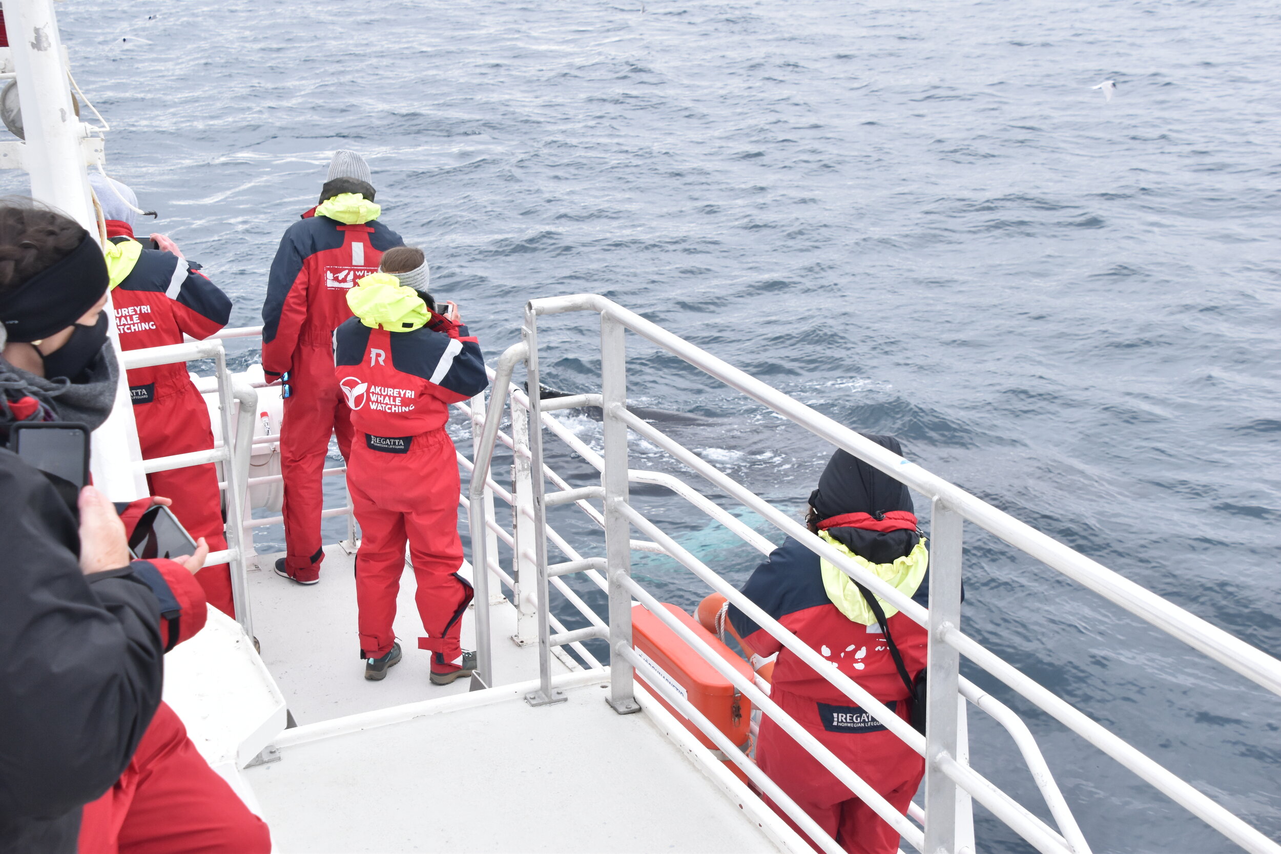 Monday, 17 May 2021
