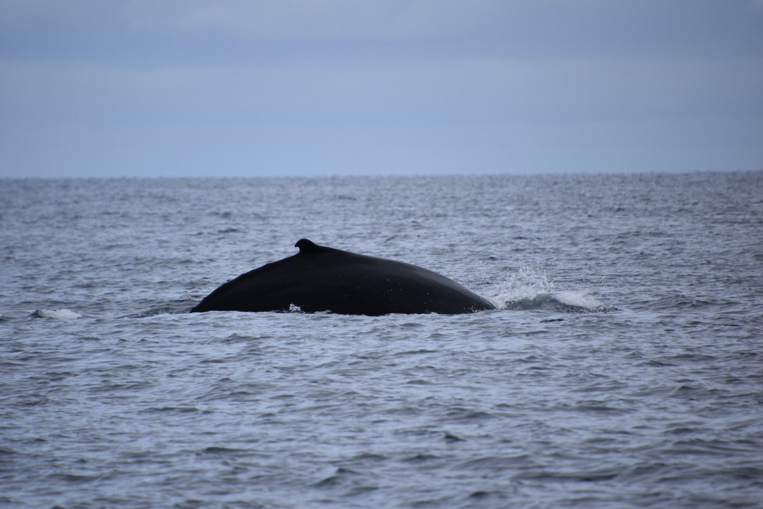 Tuesday, 18 May 2021