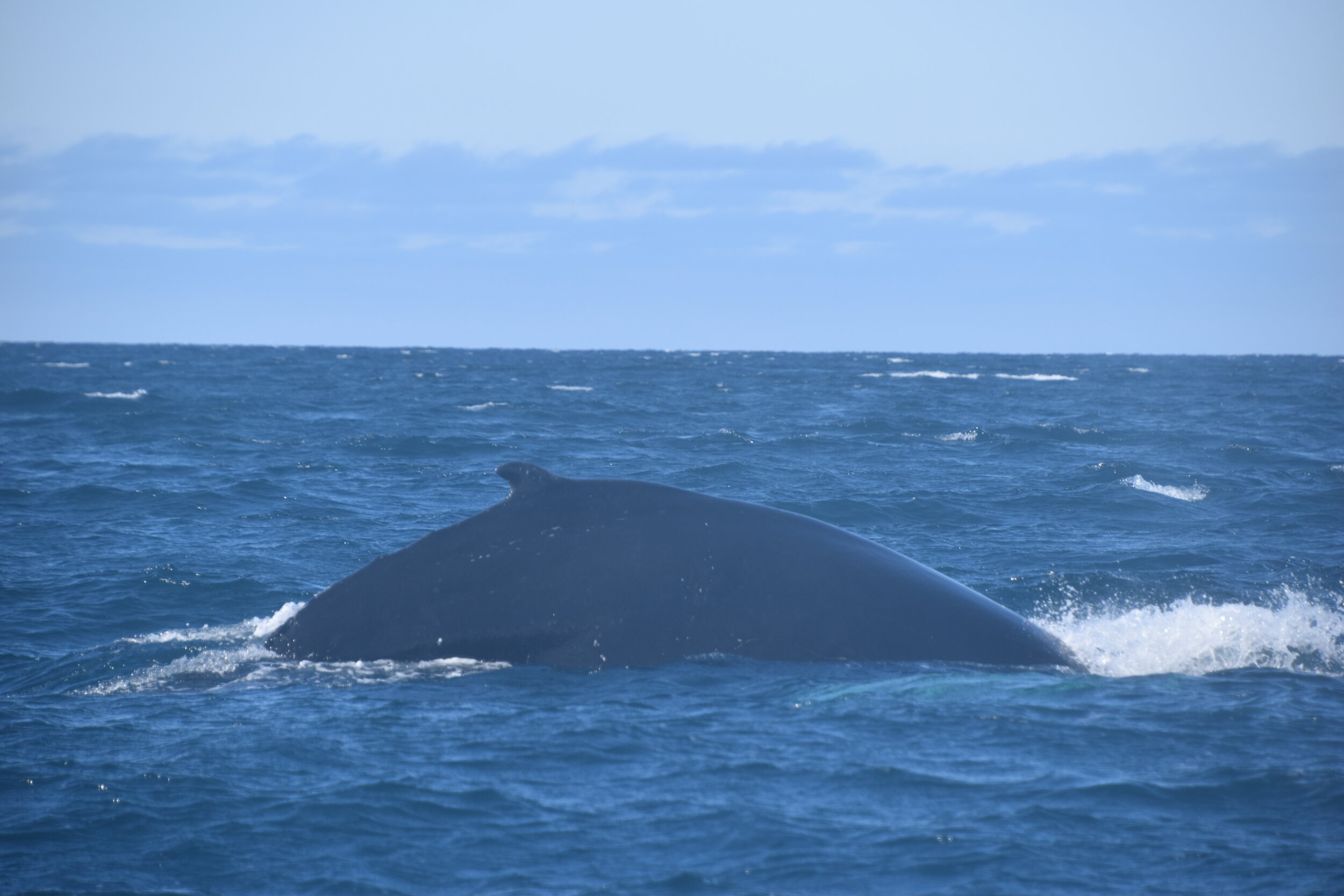 Wednesday, 19 May 2021