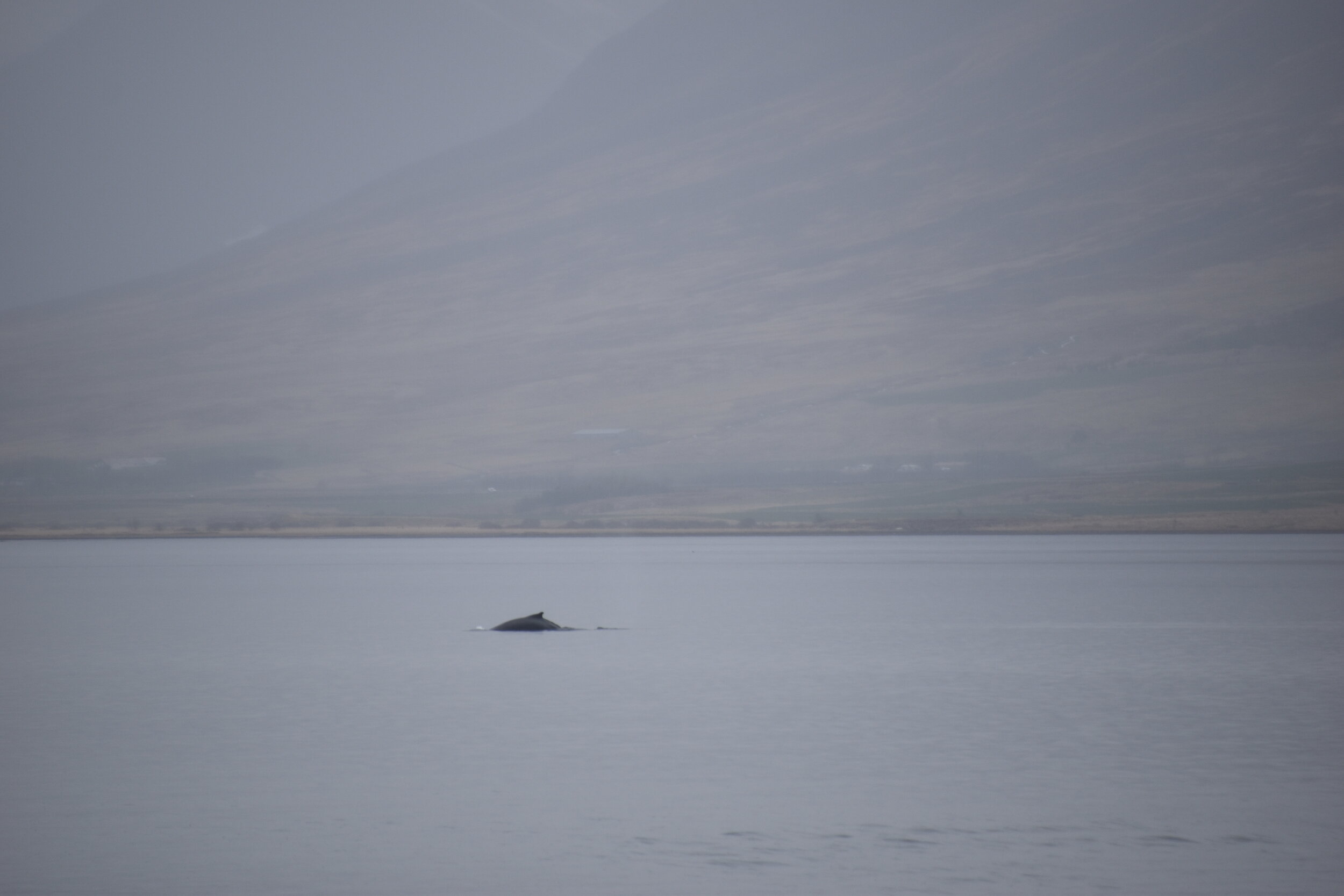 Tuesday, 1 June 2021