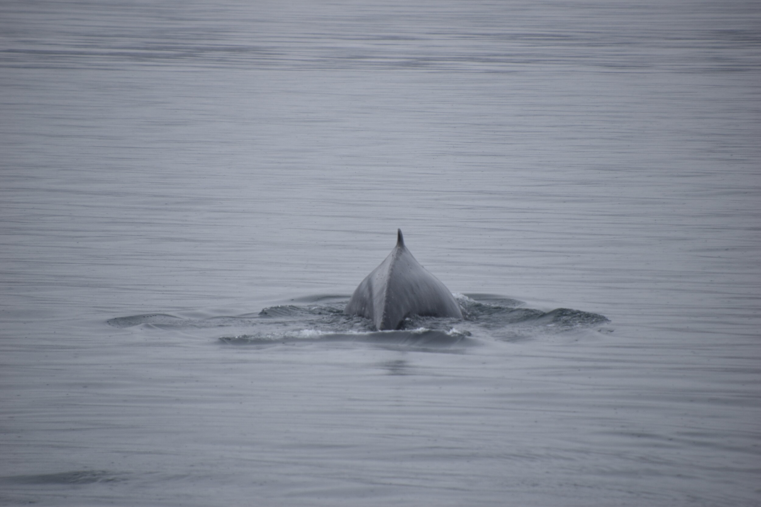 Tuesday, 1 June 2021