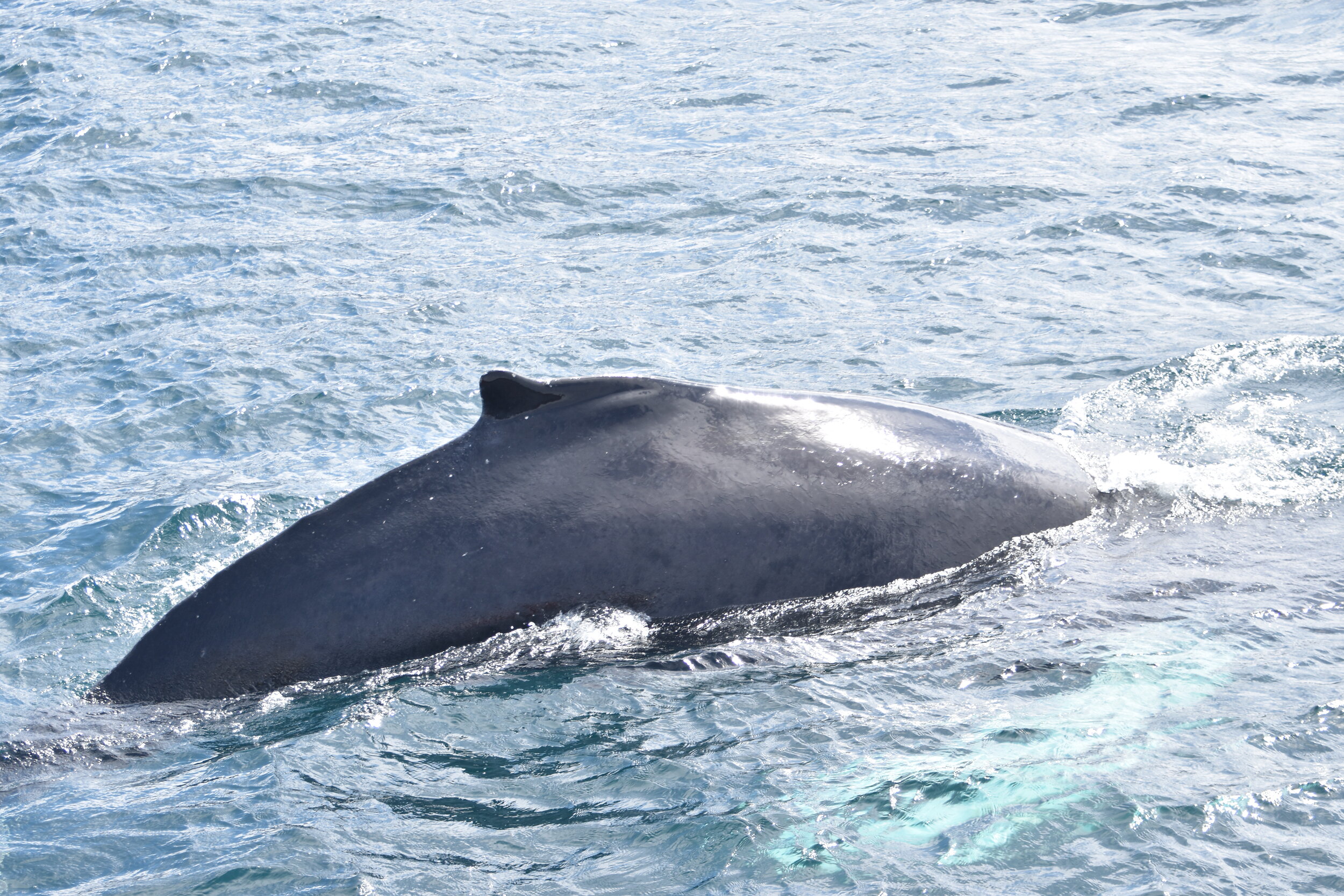 Thursday, 17 June 2021