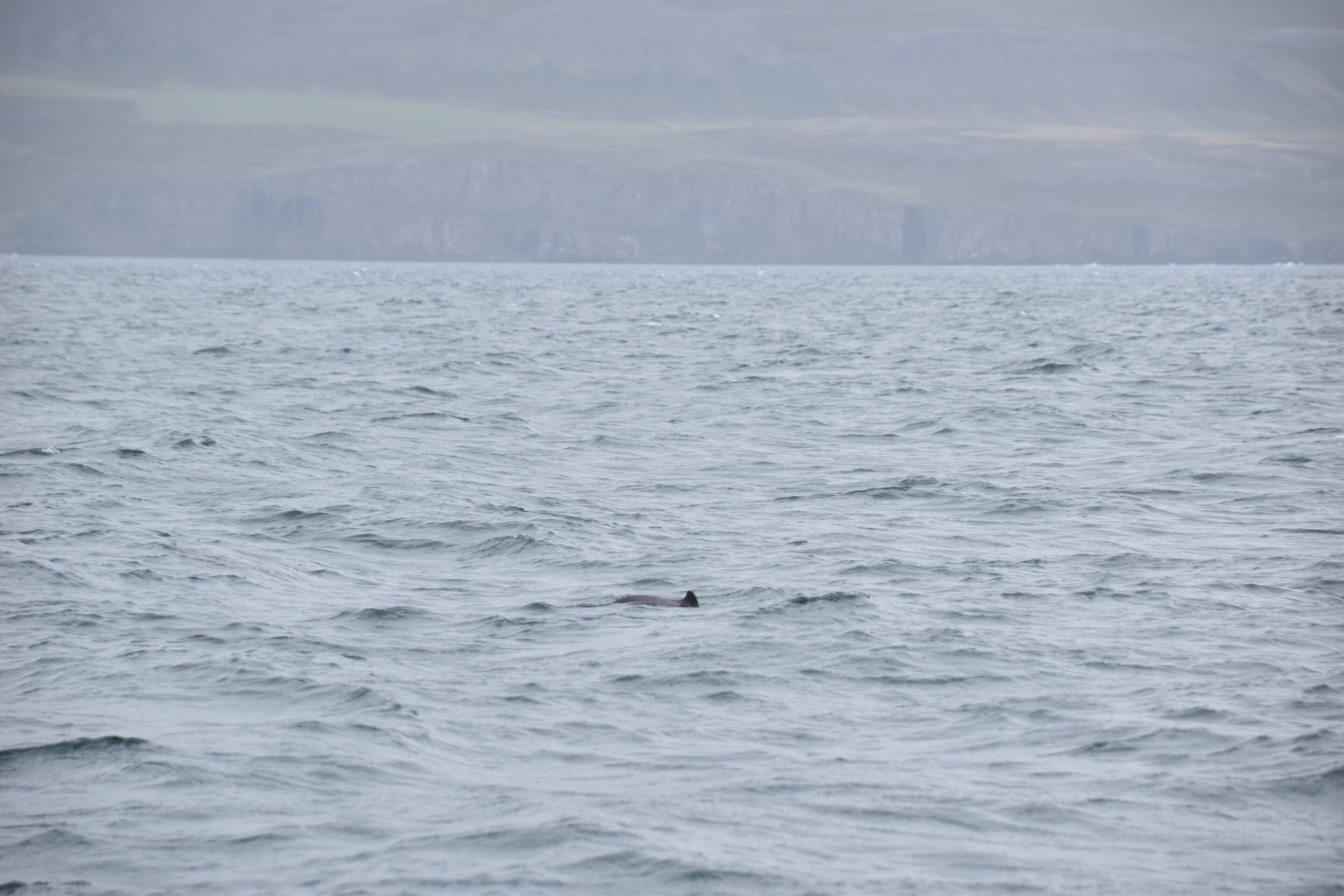 Wednesday, 23 June 2021
