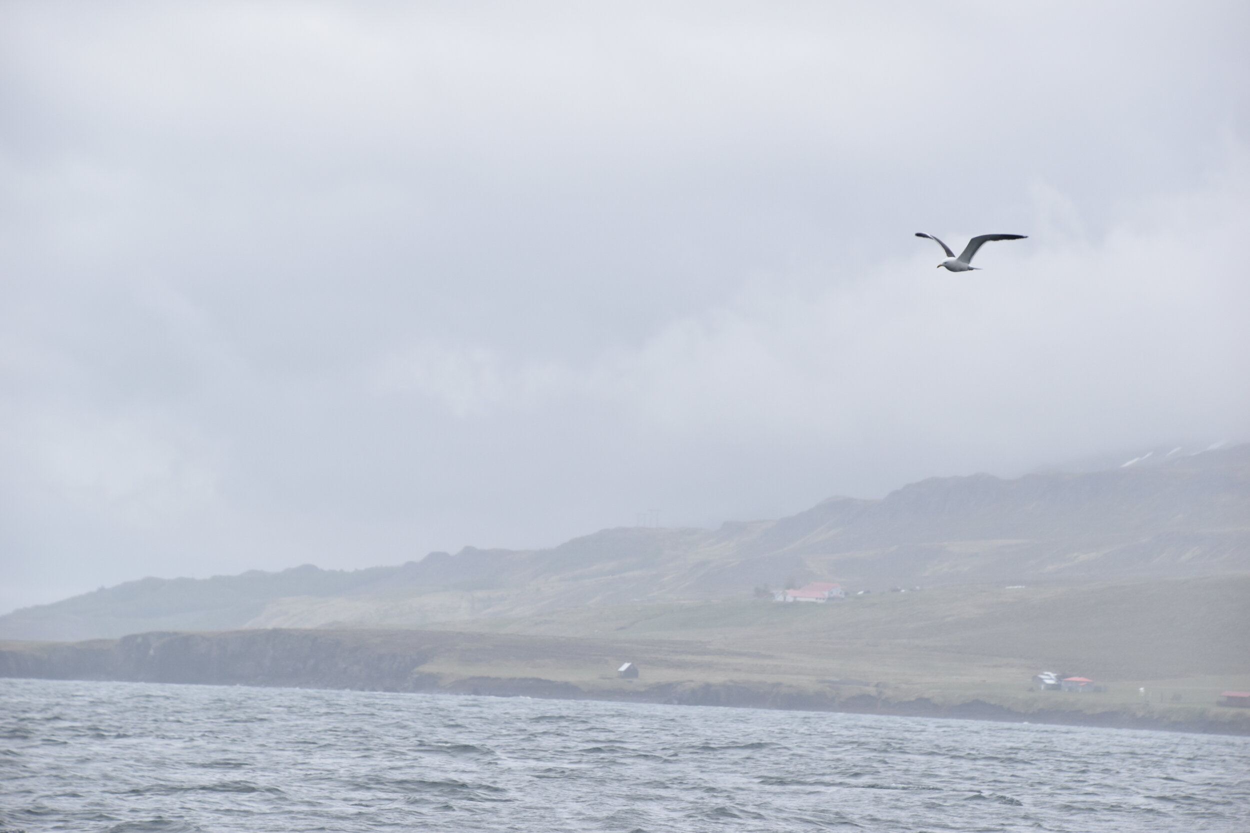 Wednesday, 23 June 2021
