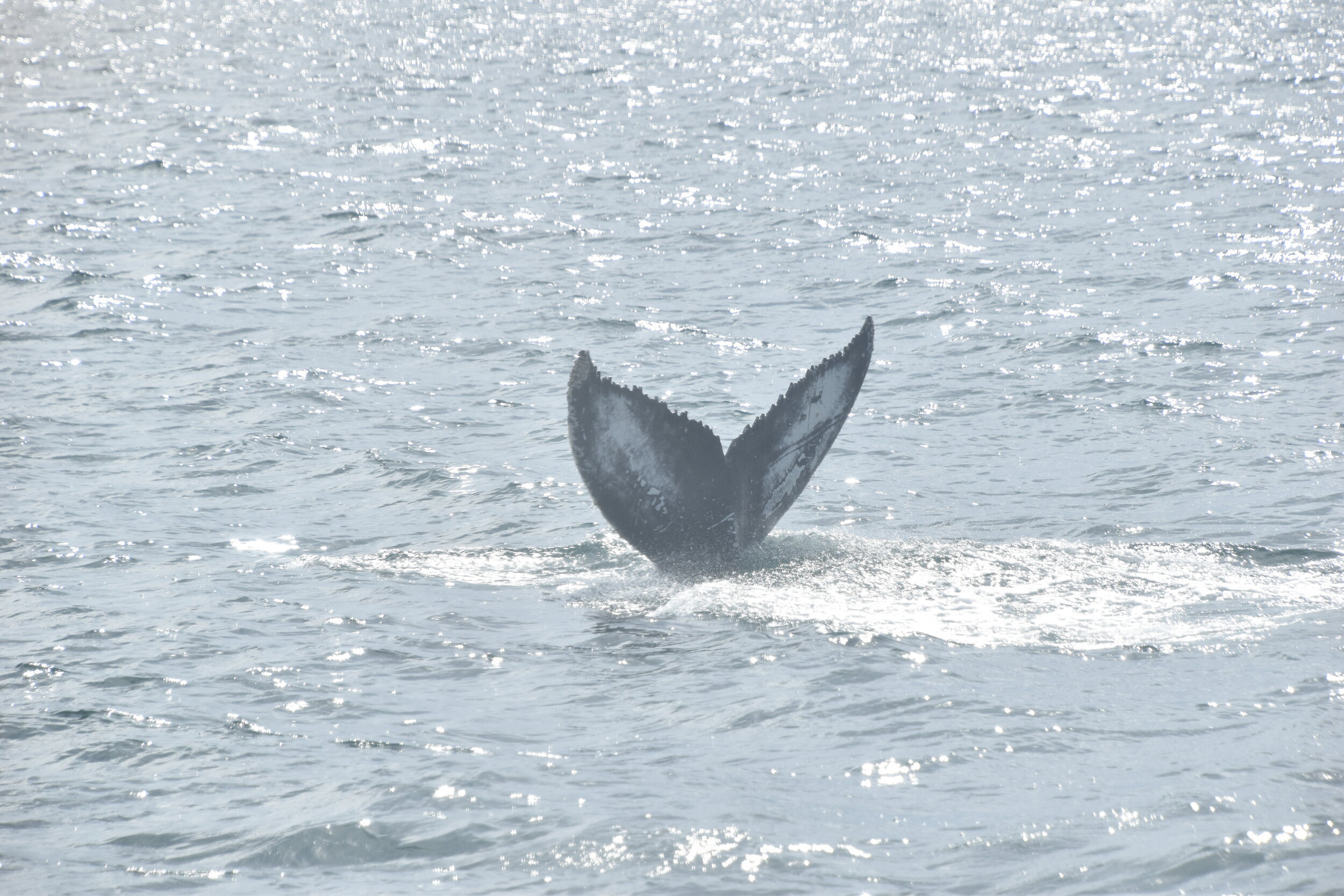 Thursday, 24 June 2021