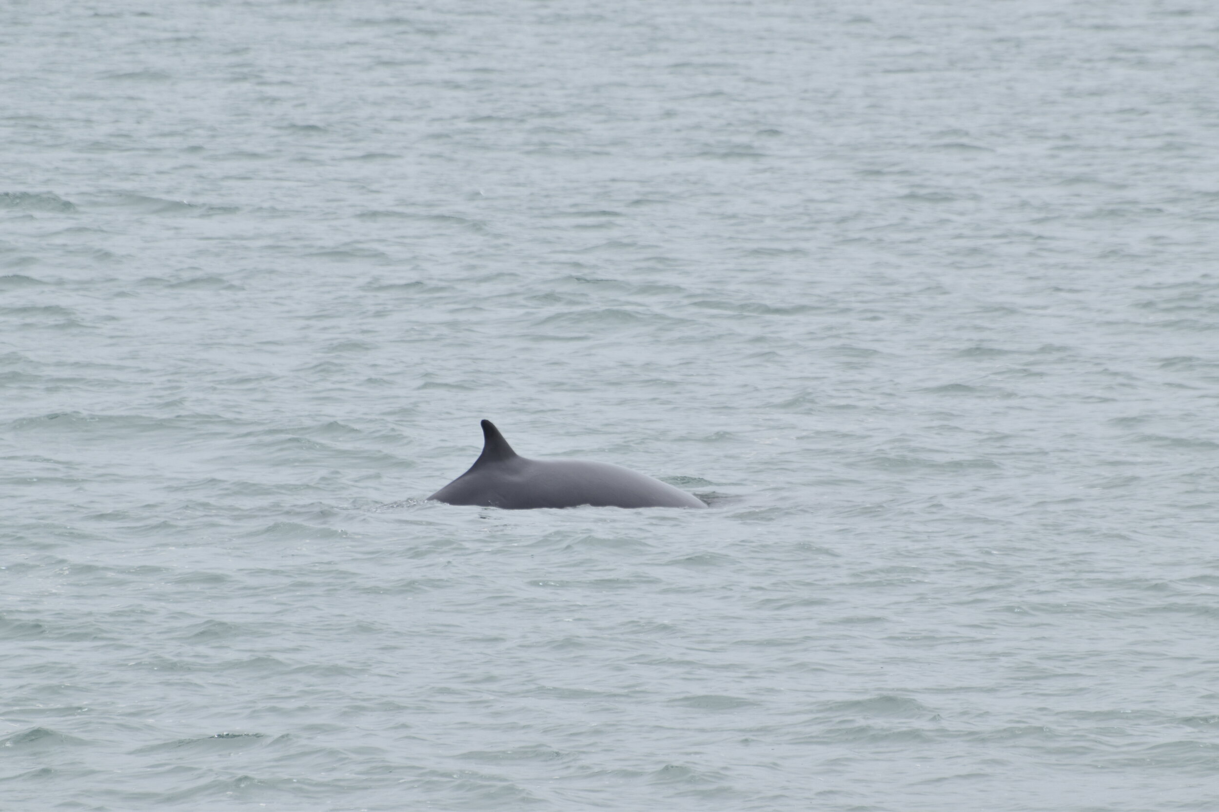 Monday, 5 July 2021
