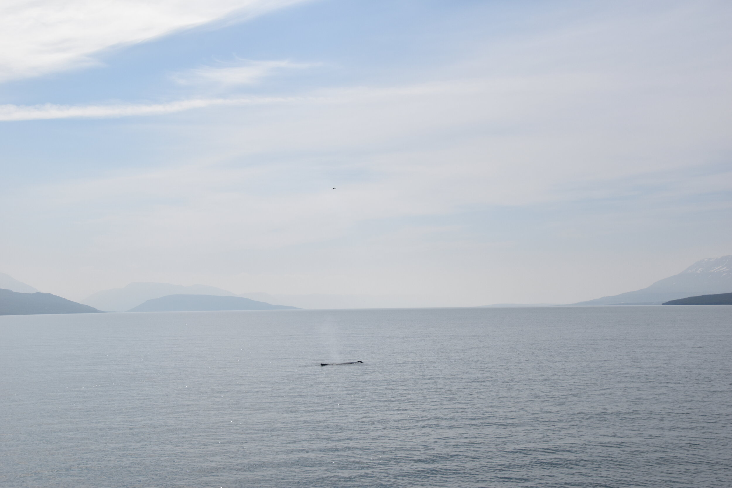 Wednesday, 7 July 2021
