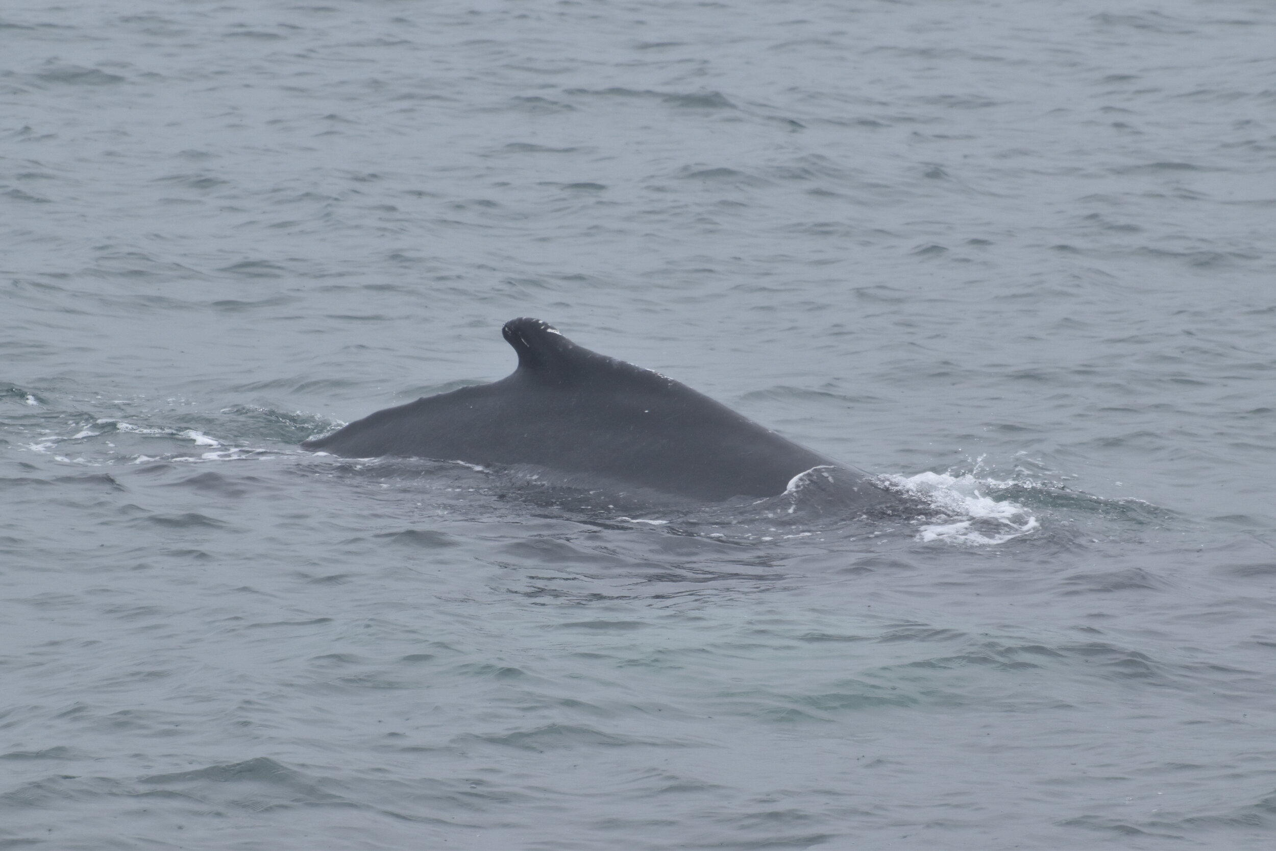 Wednesday, 14 July 2021
