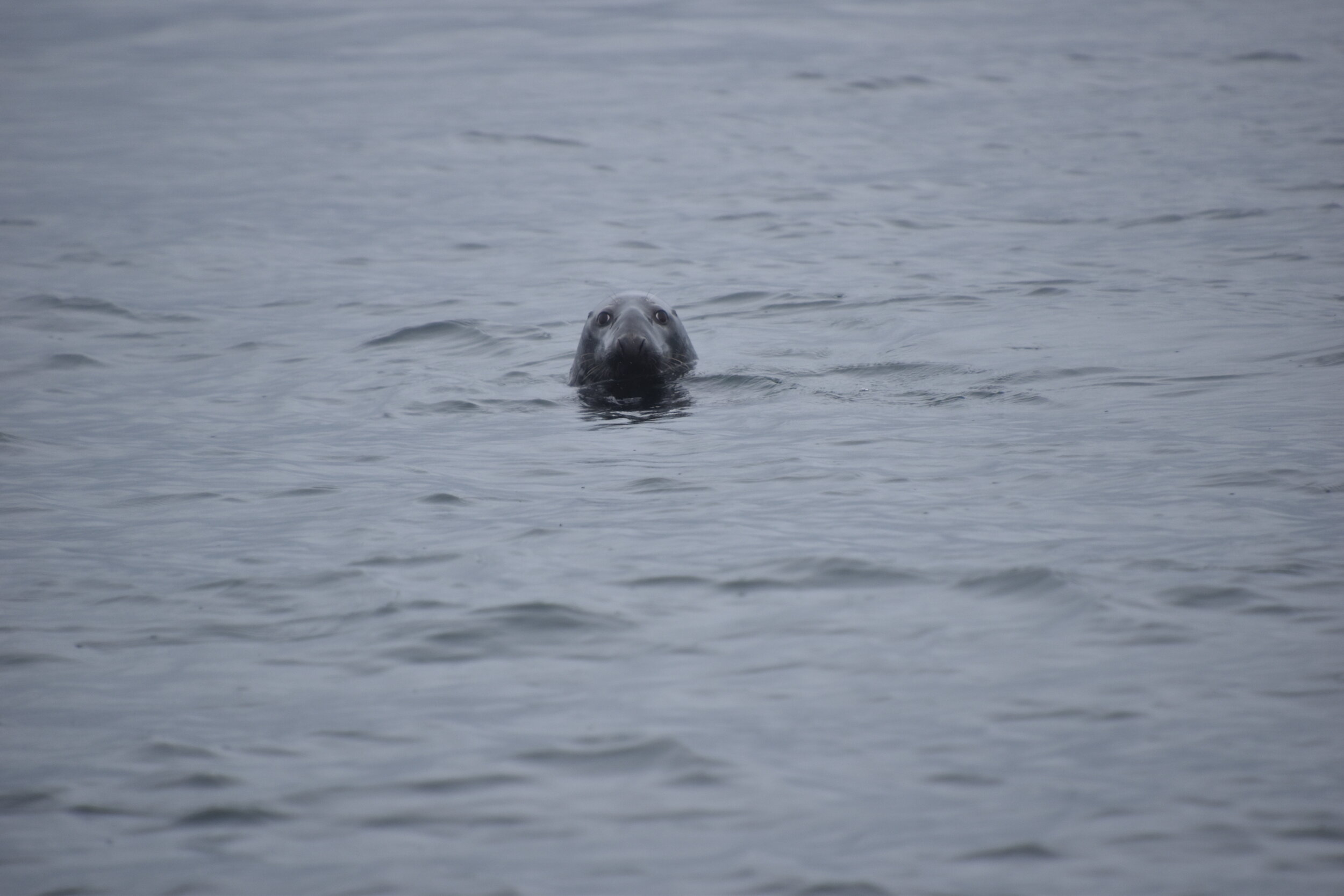 Wednesday, 14 July 2021