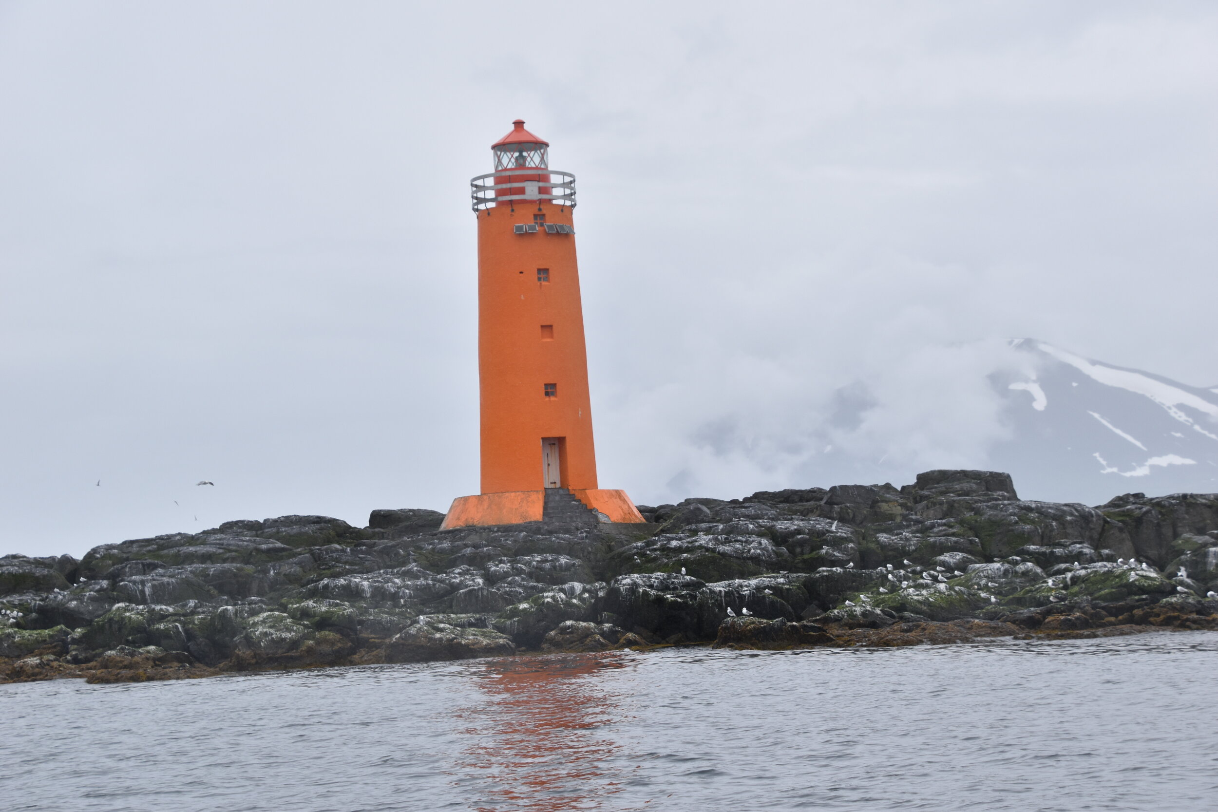 Wednesday, 14 July 2021