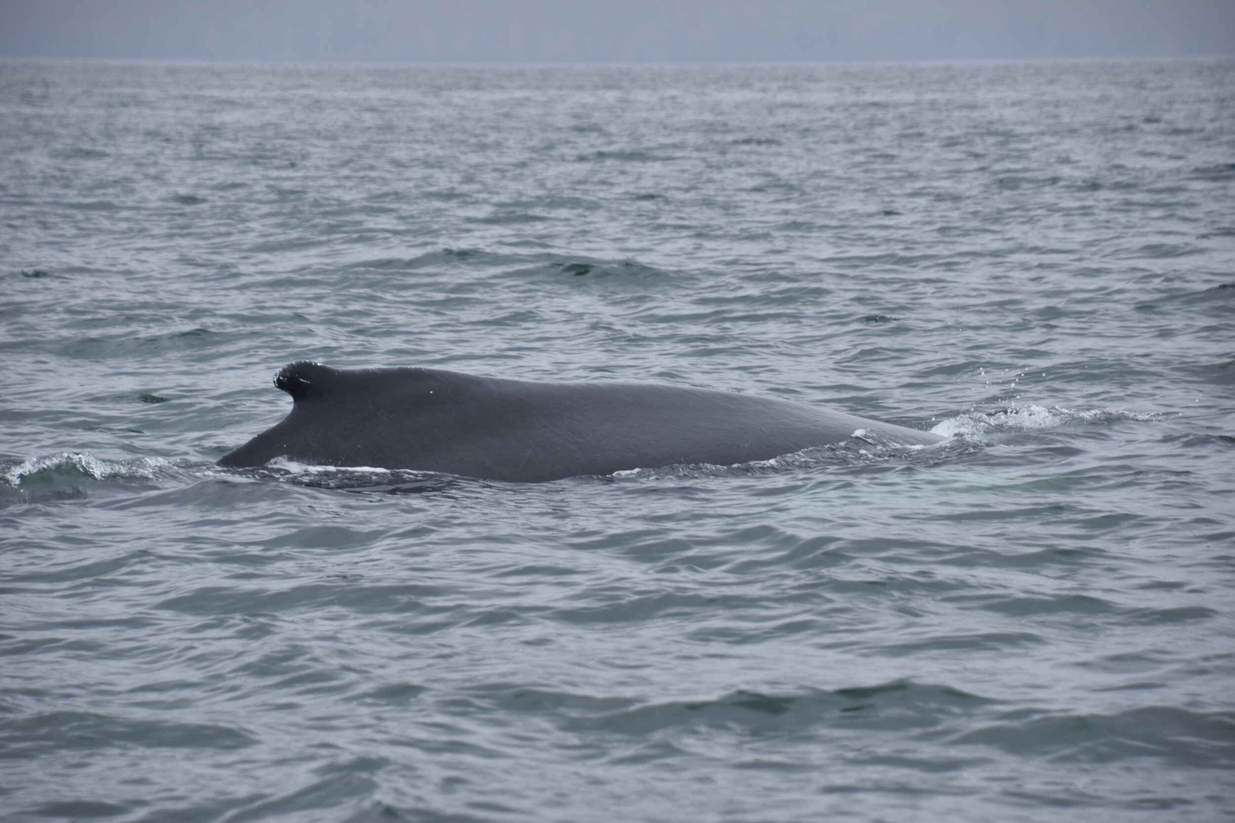 Wednesday, 14 July 2021