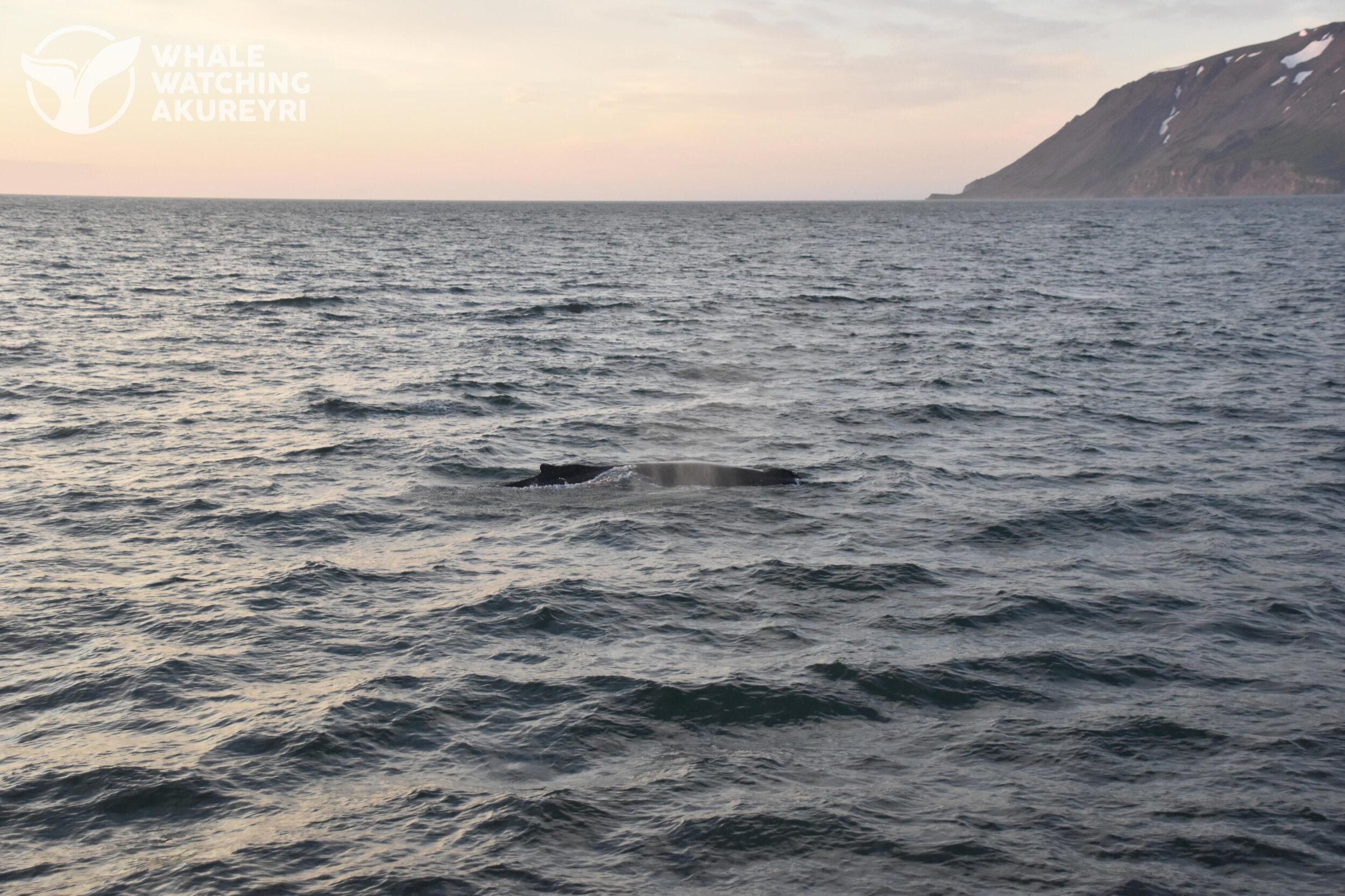 Tuesday, 20 July 2021