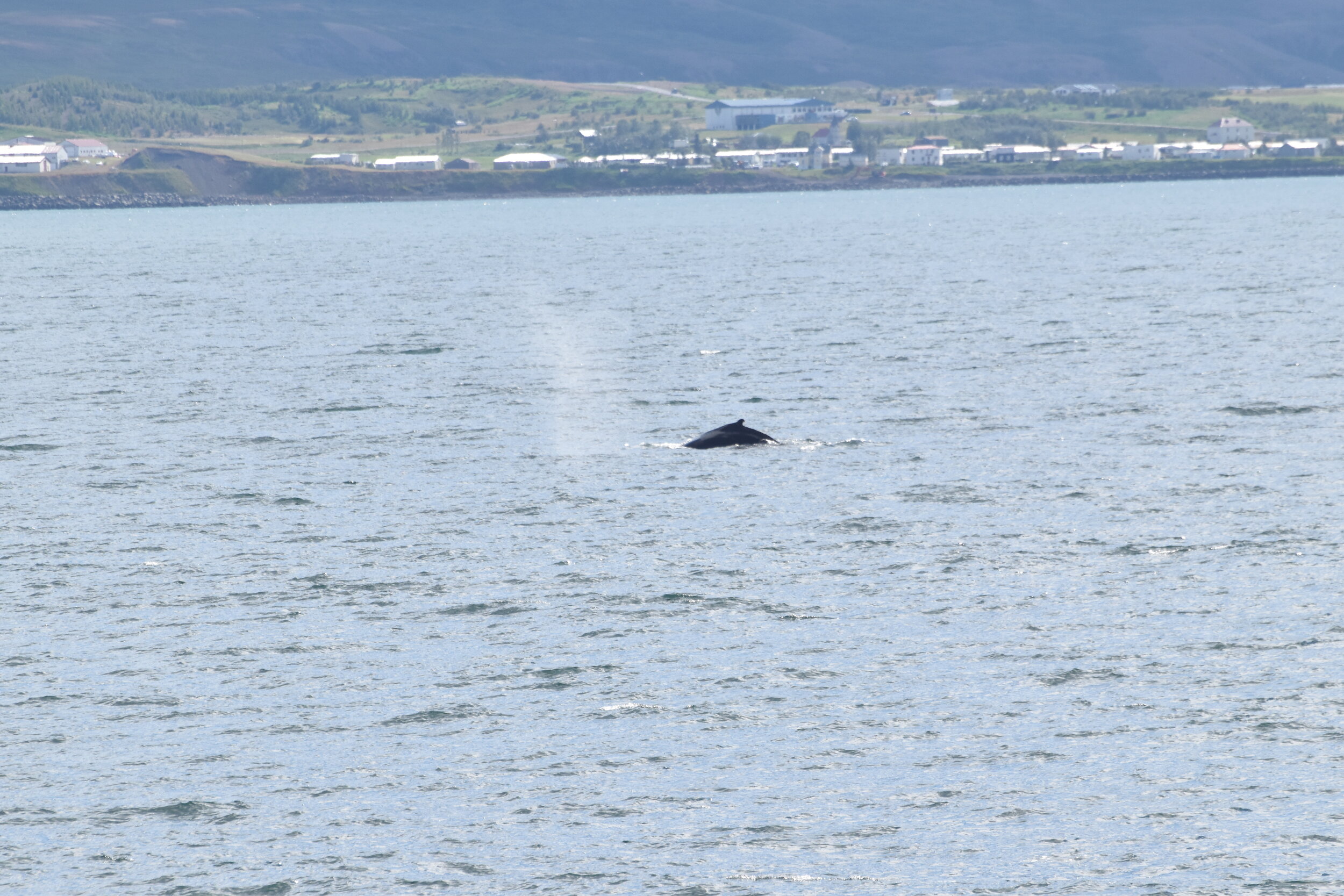 Monday, 26 July 2021