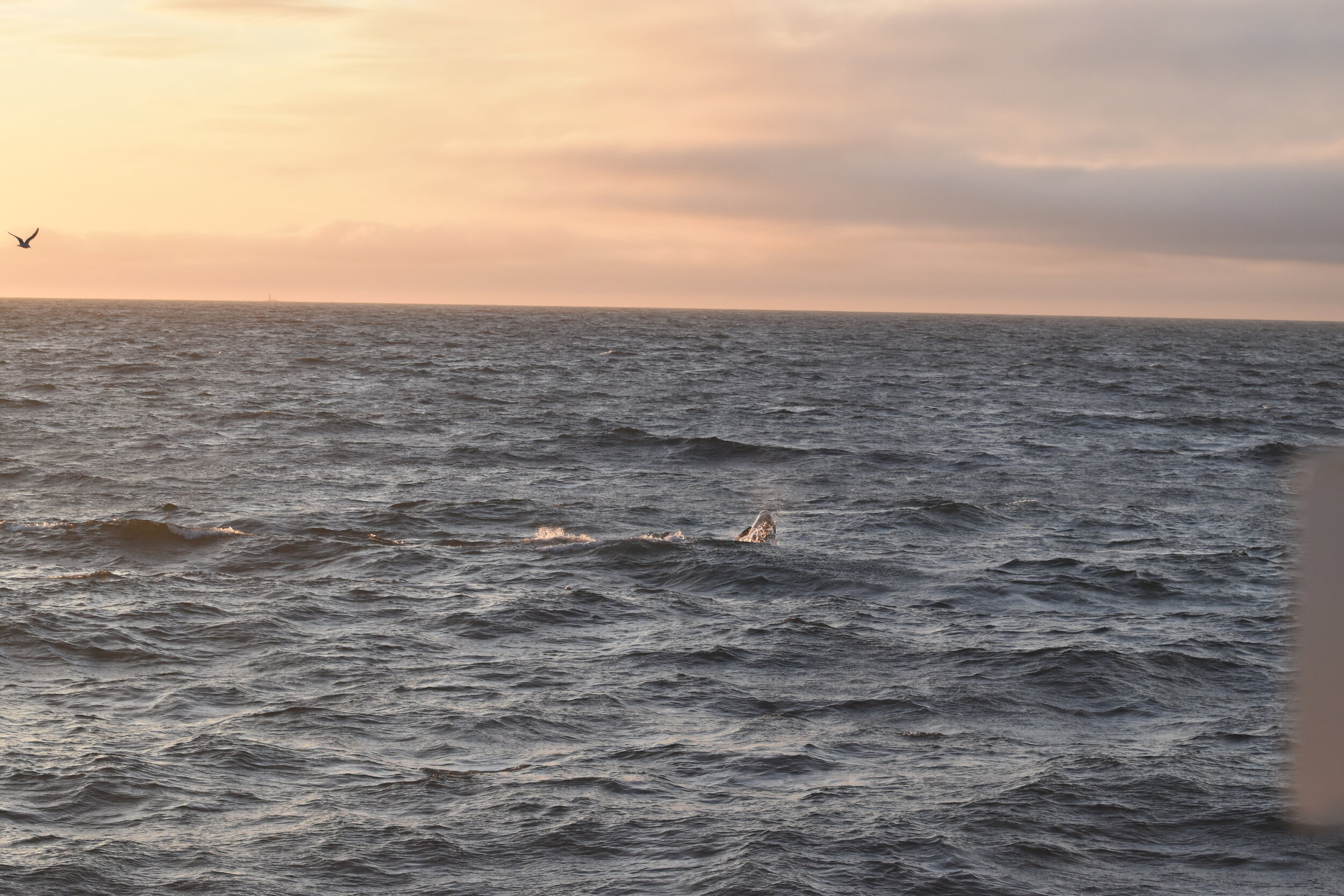 Monday, 26 July 2021