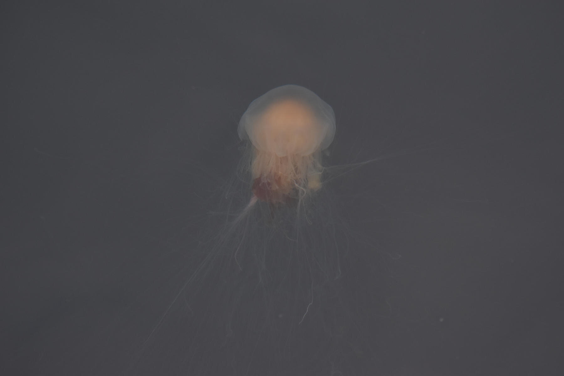 Thursday, 29 July 2021