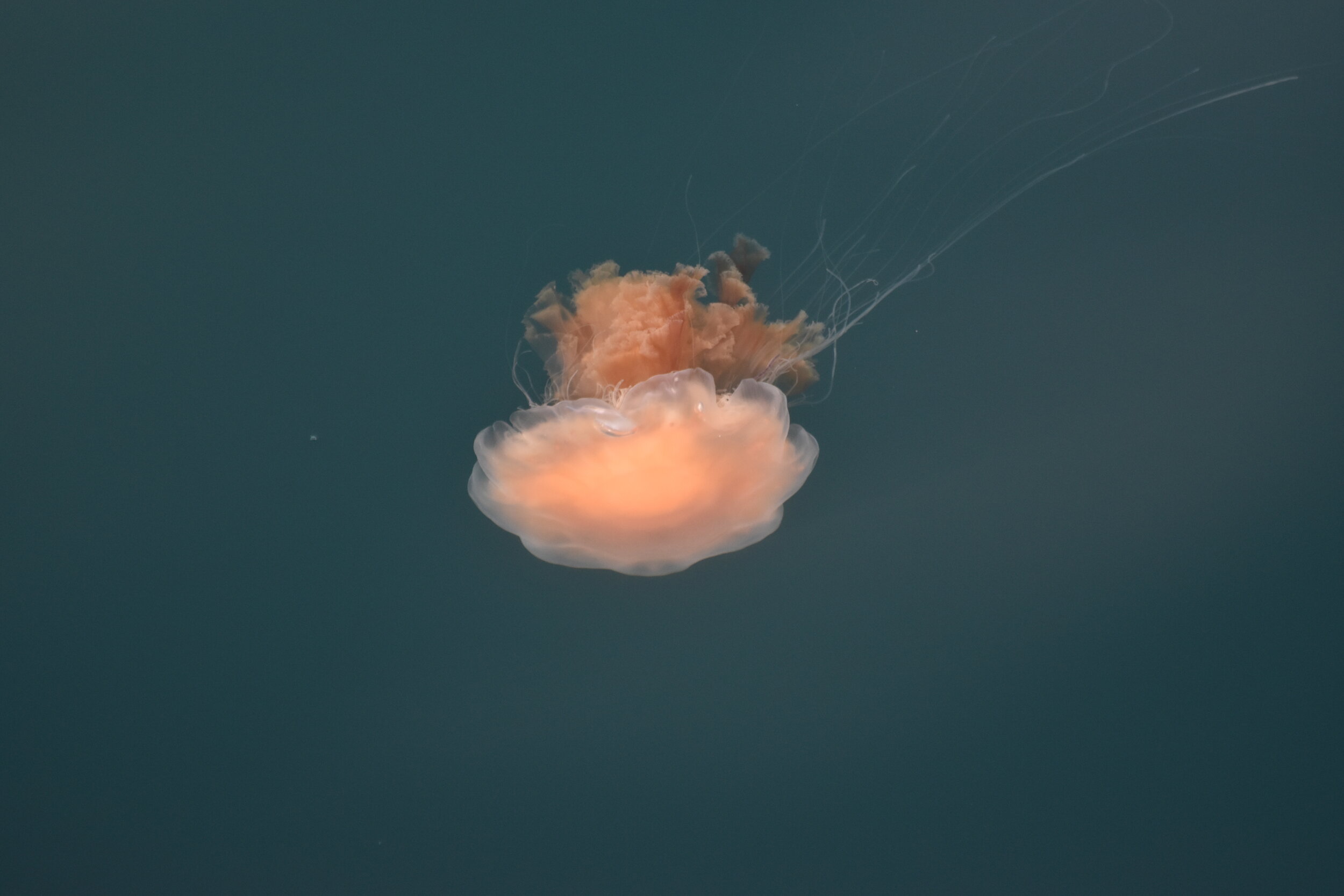 Friday, 30 July 2021