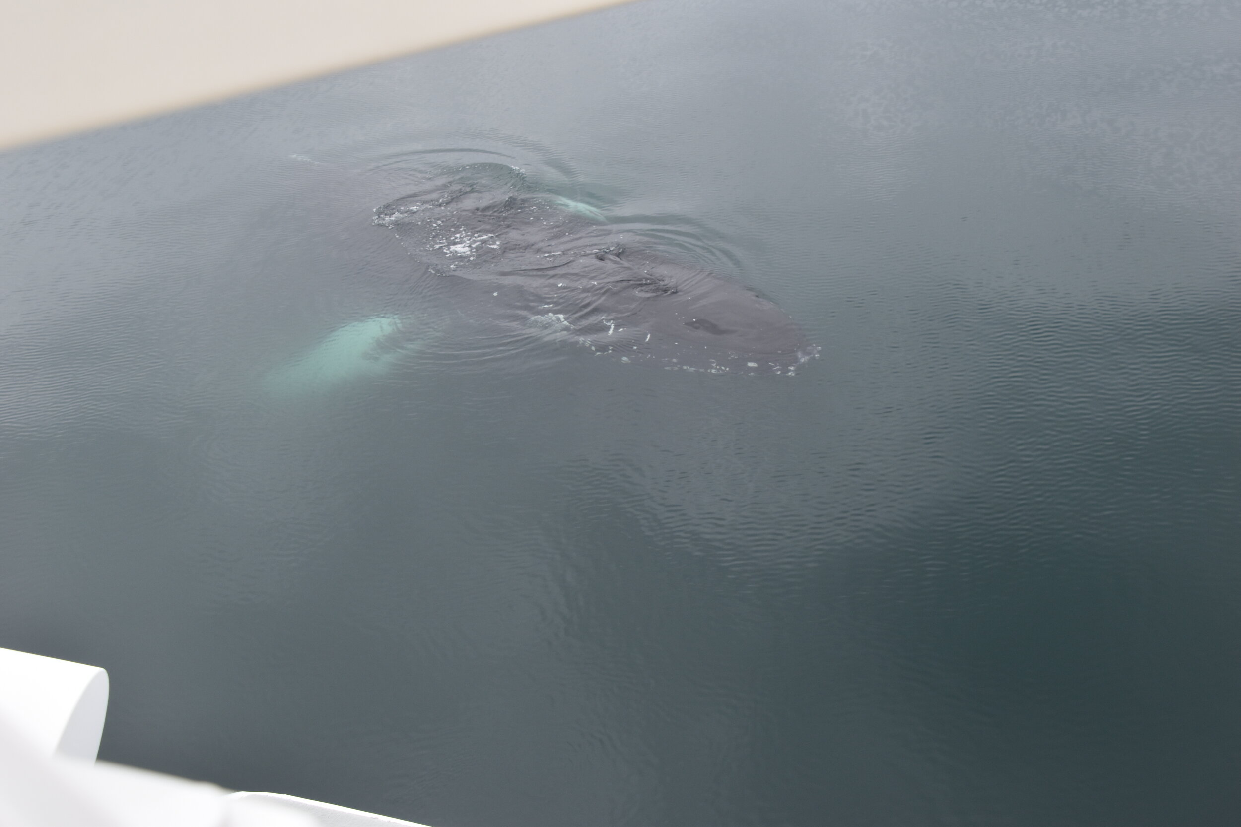 Wednesday, 4 August 2021