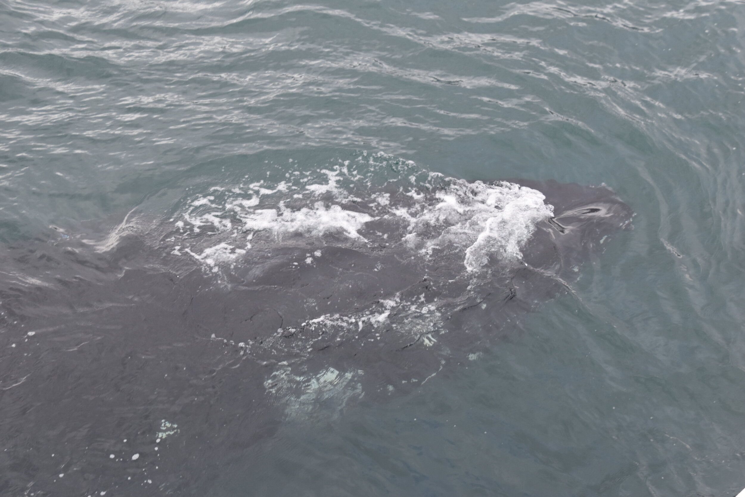 Wednesday, 4 August 2021