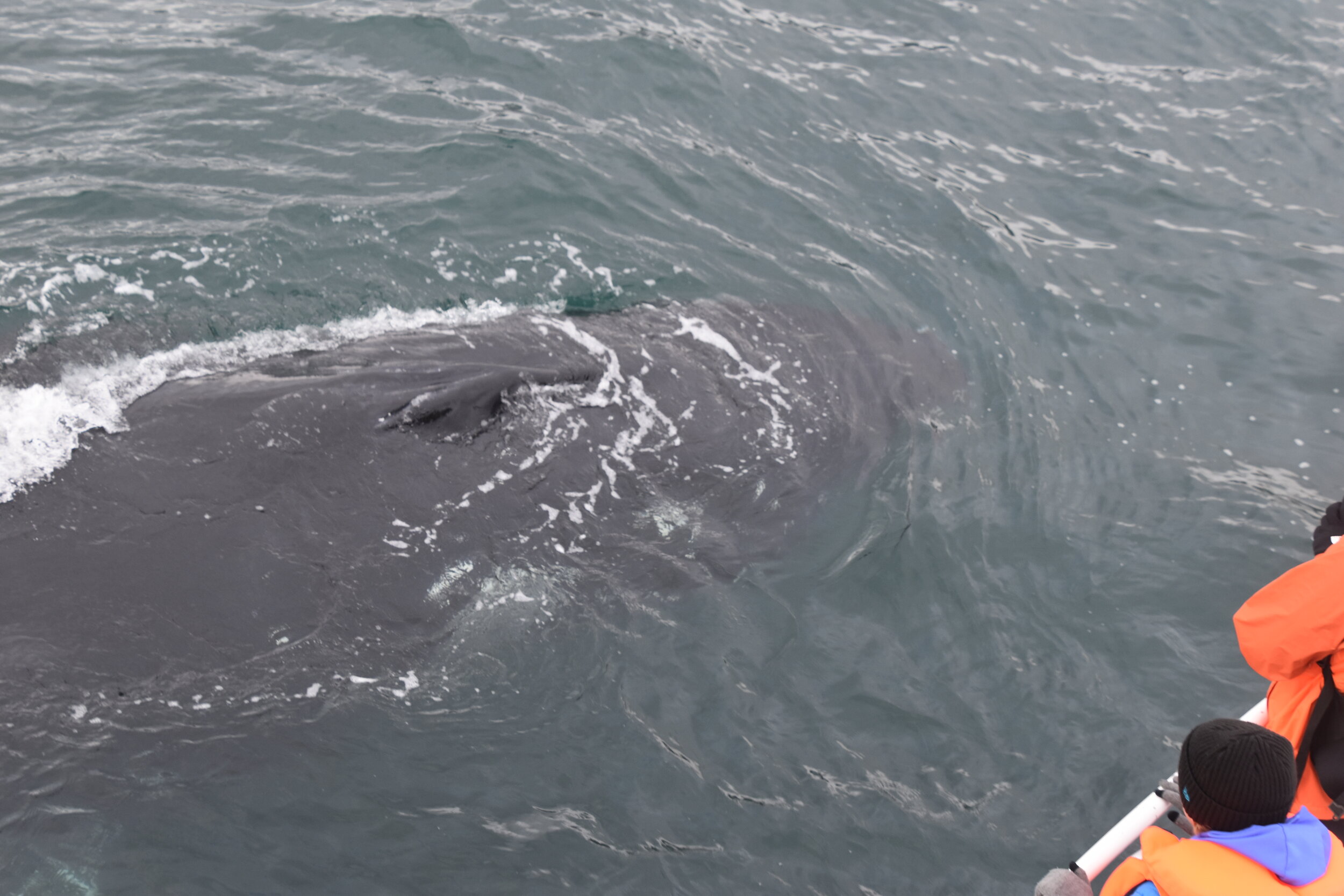 Wednesday, 4 August 2021