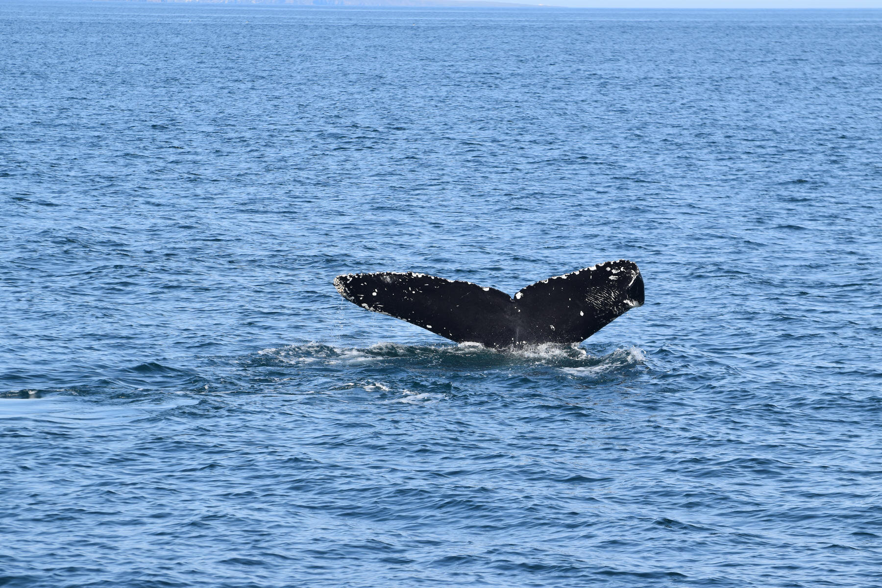 Monday, 9 August 2021
