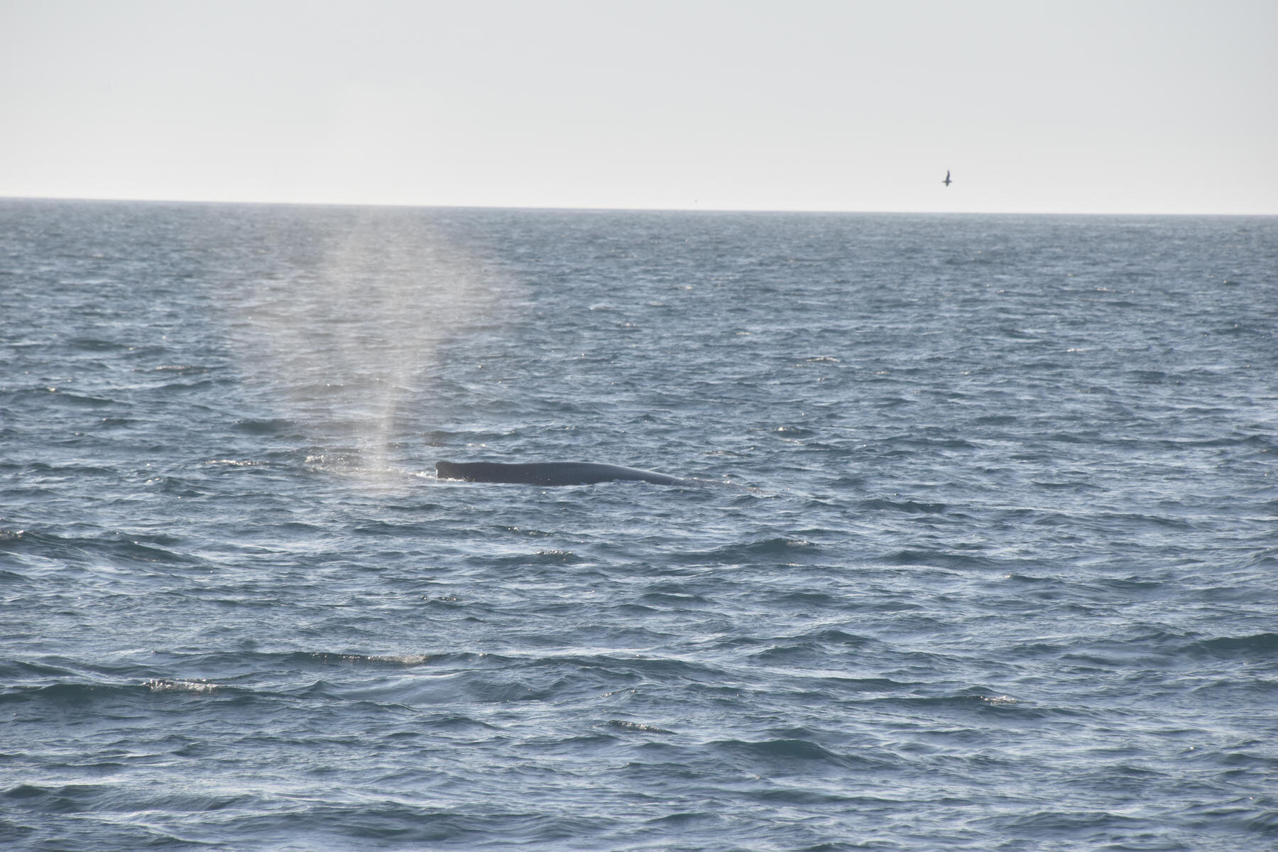 Monday, 9 August 2021