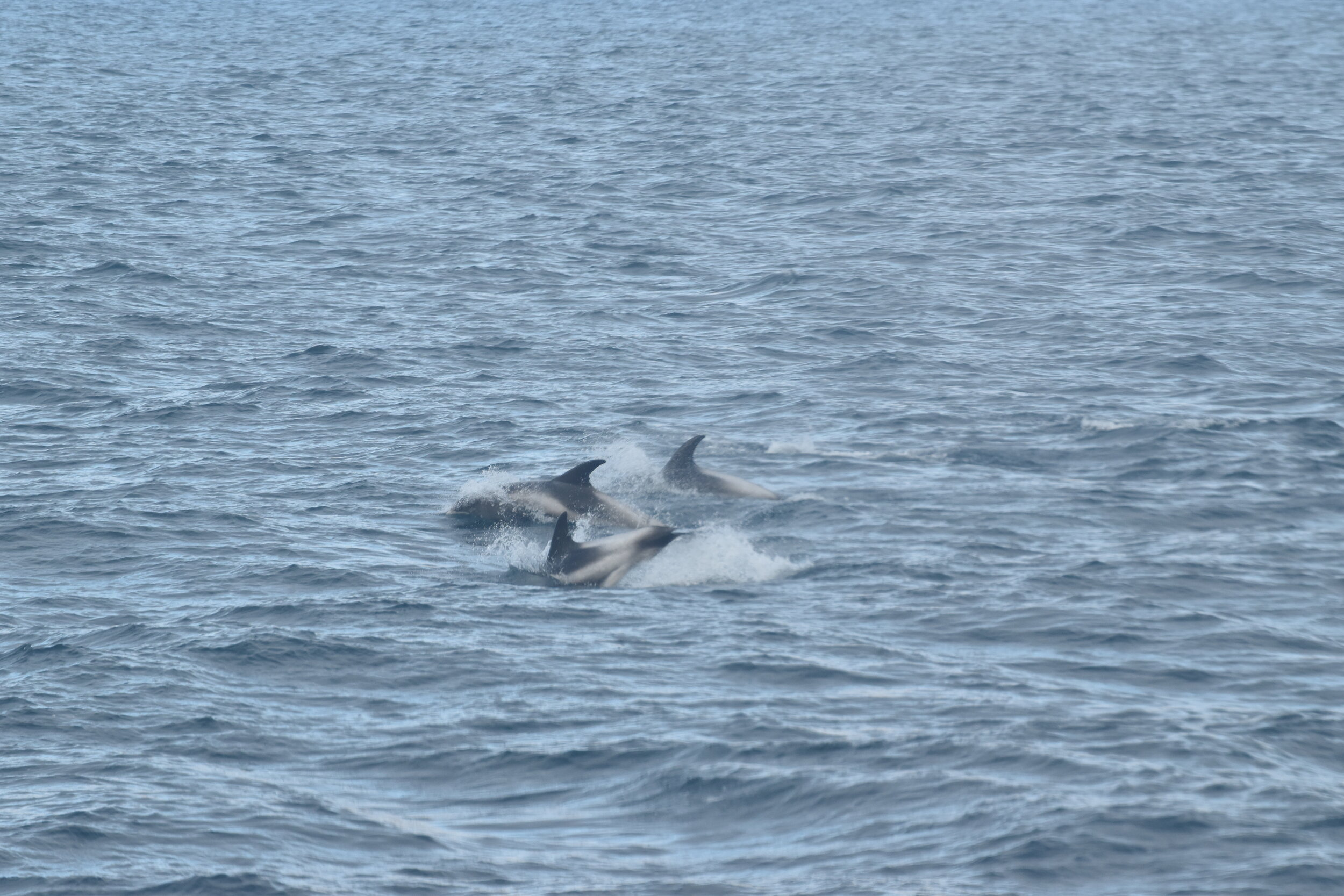 Monday, 16 August 2021