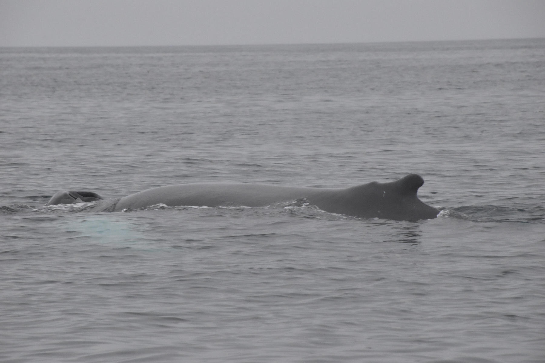 Tuesday, 17 August 2021