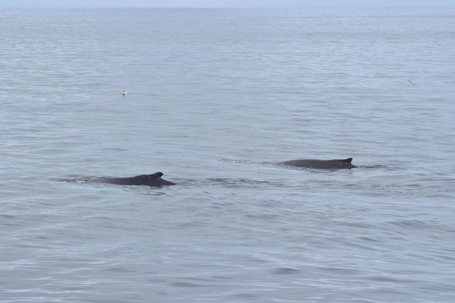 Thursday, 19 August 2021