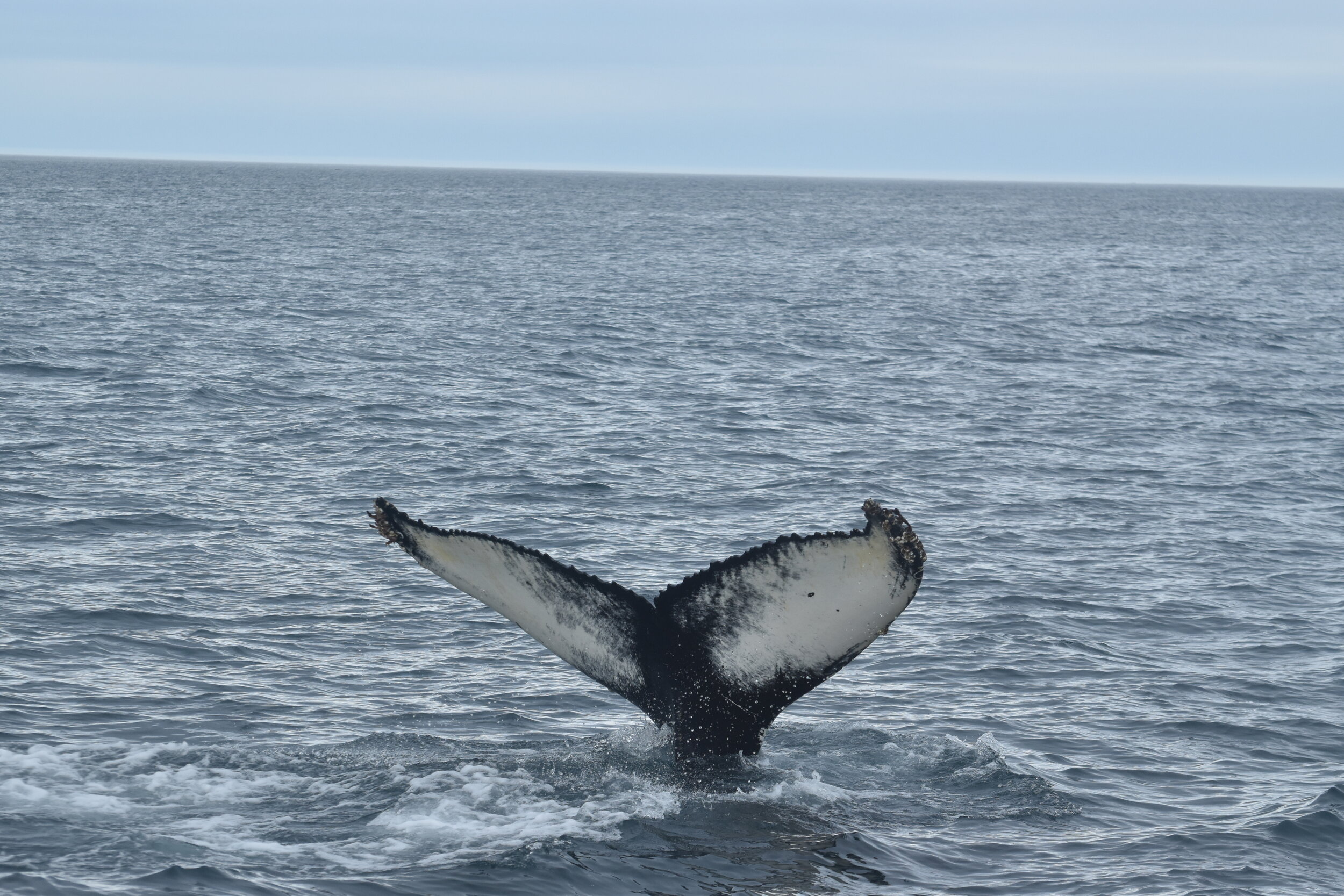 Monday, 23 August 2021