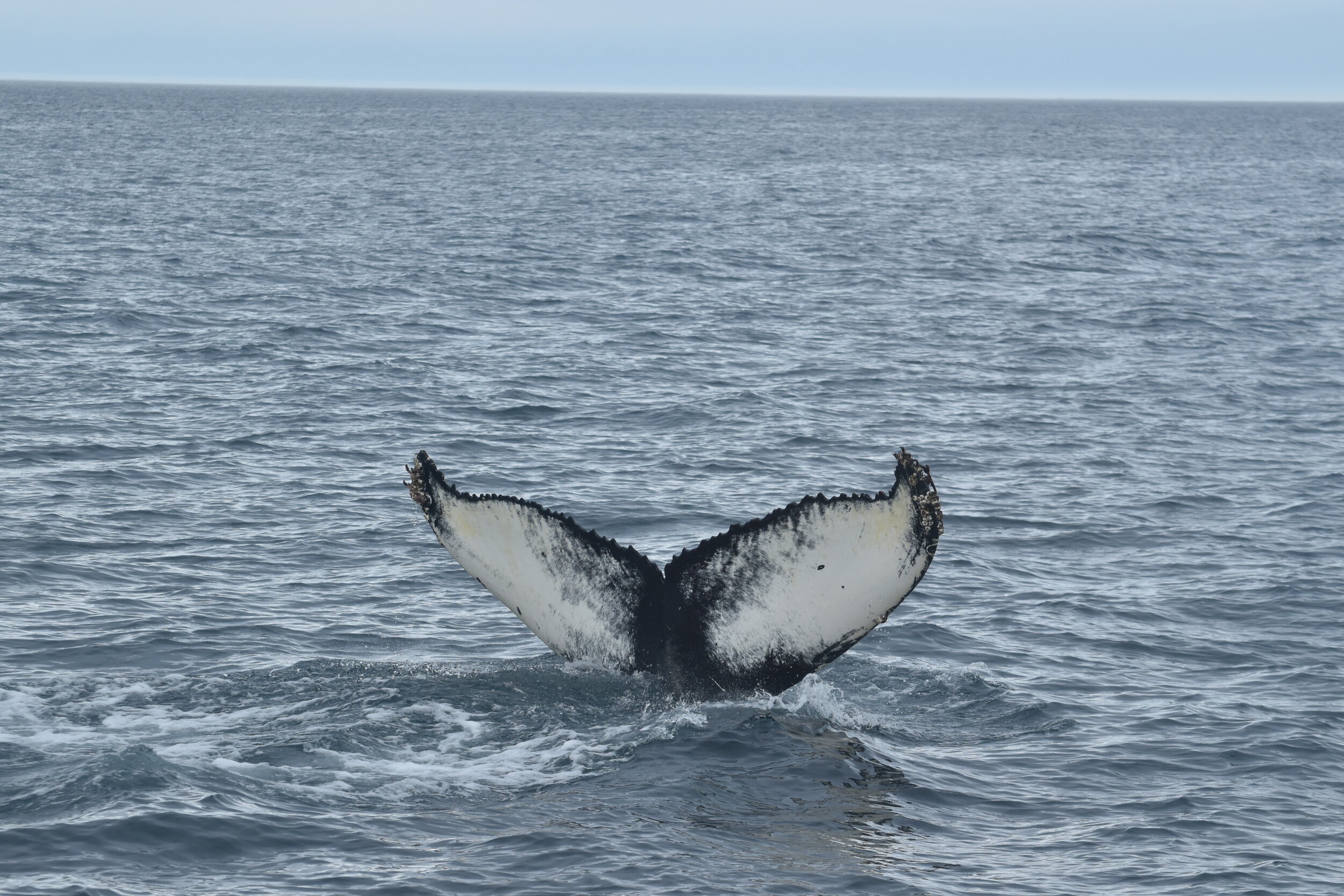 Monday, 23 August 2021