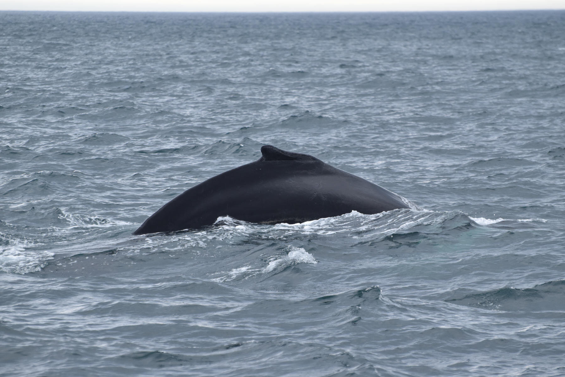 Monday, 30 August 2021