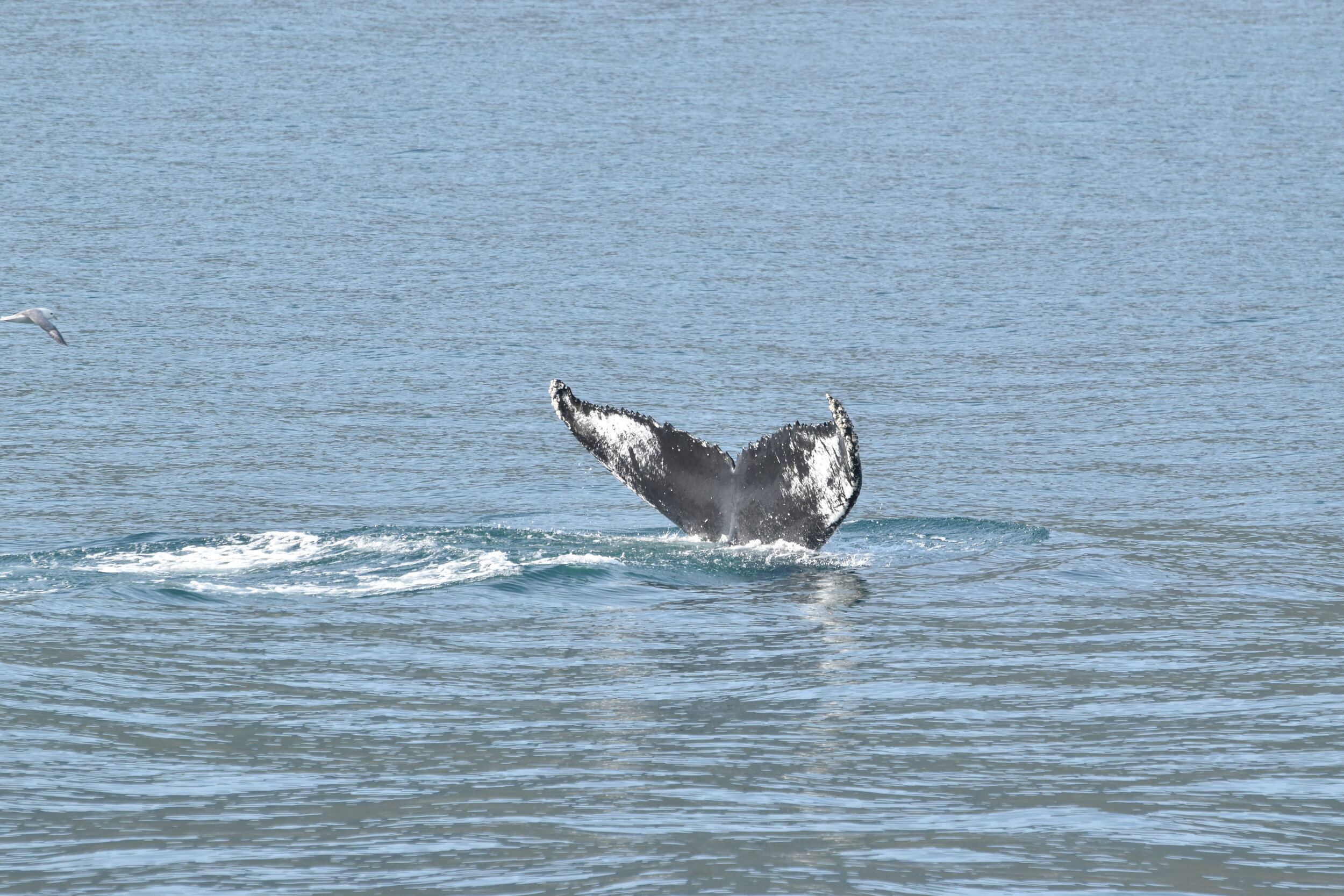 Tuesday, 31 August 2021