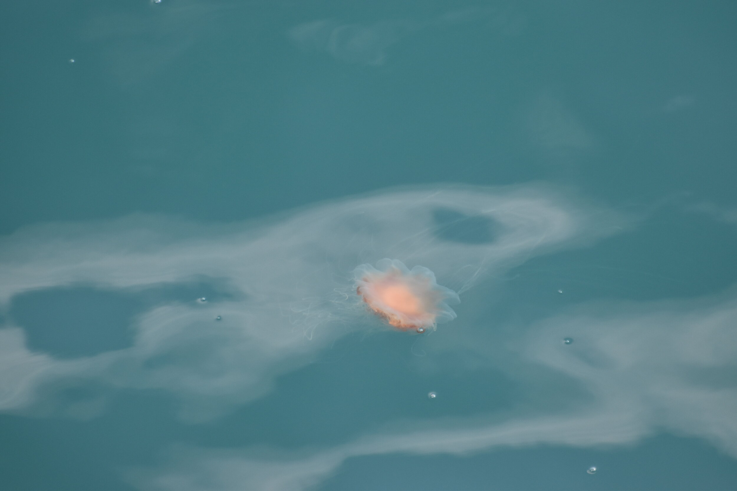 Tuesday, 31 August 2021